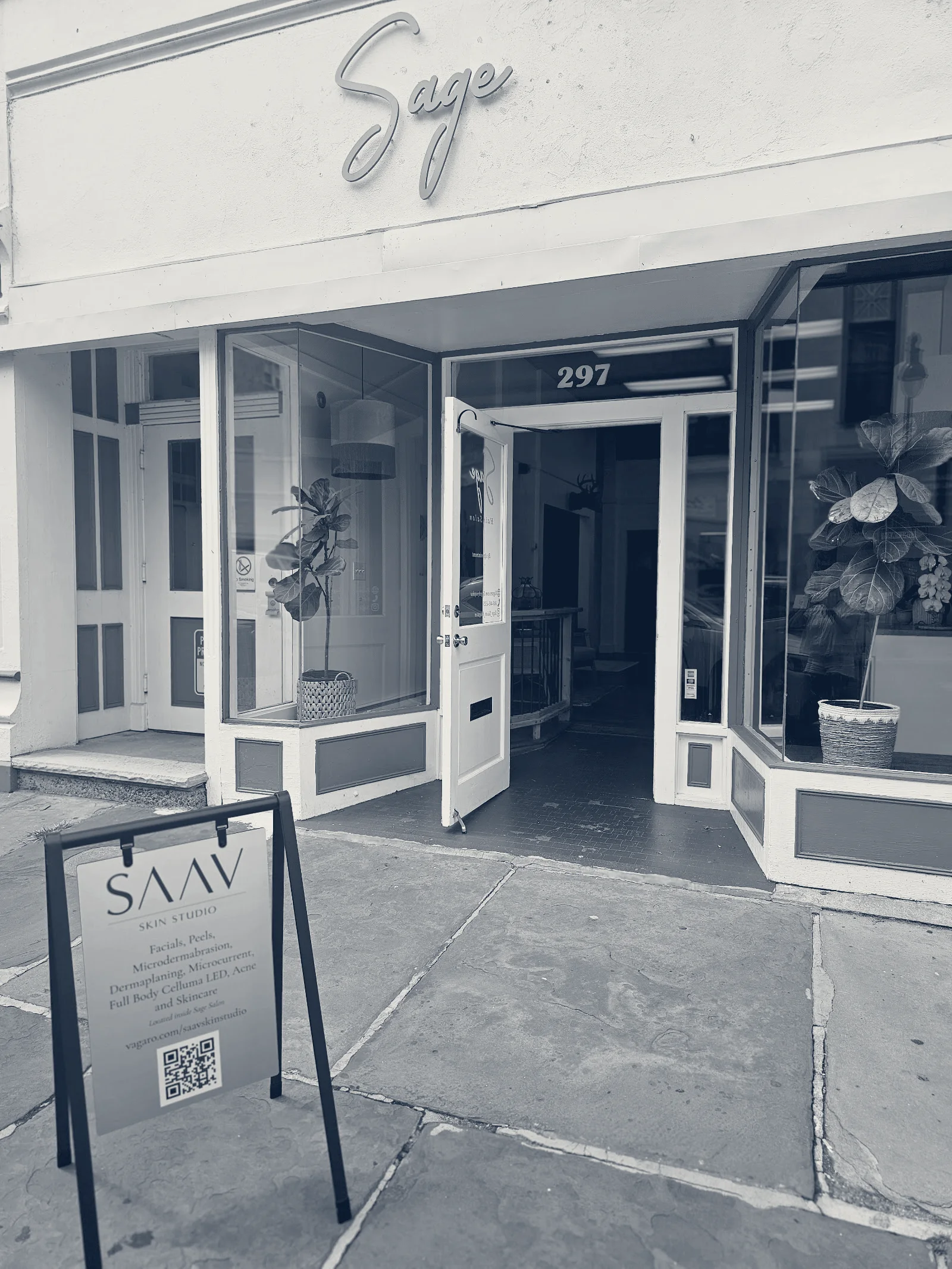 Saav Skin Studio — Kingston, New York