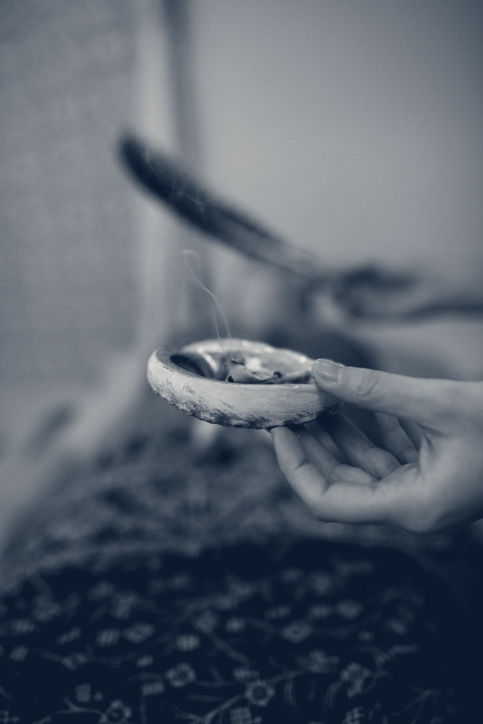 The Little Owl Spa — Poughkeepsie, New York