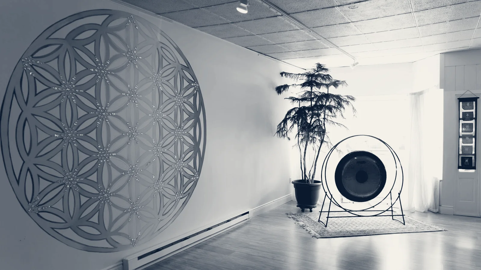 BEACON OF LIGHT WELLNESS — Fishkill, New York