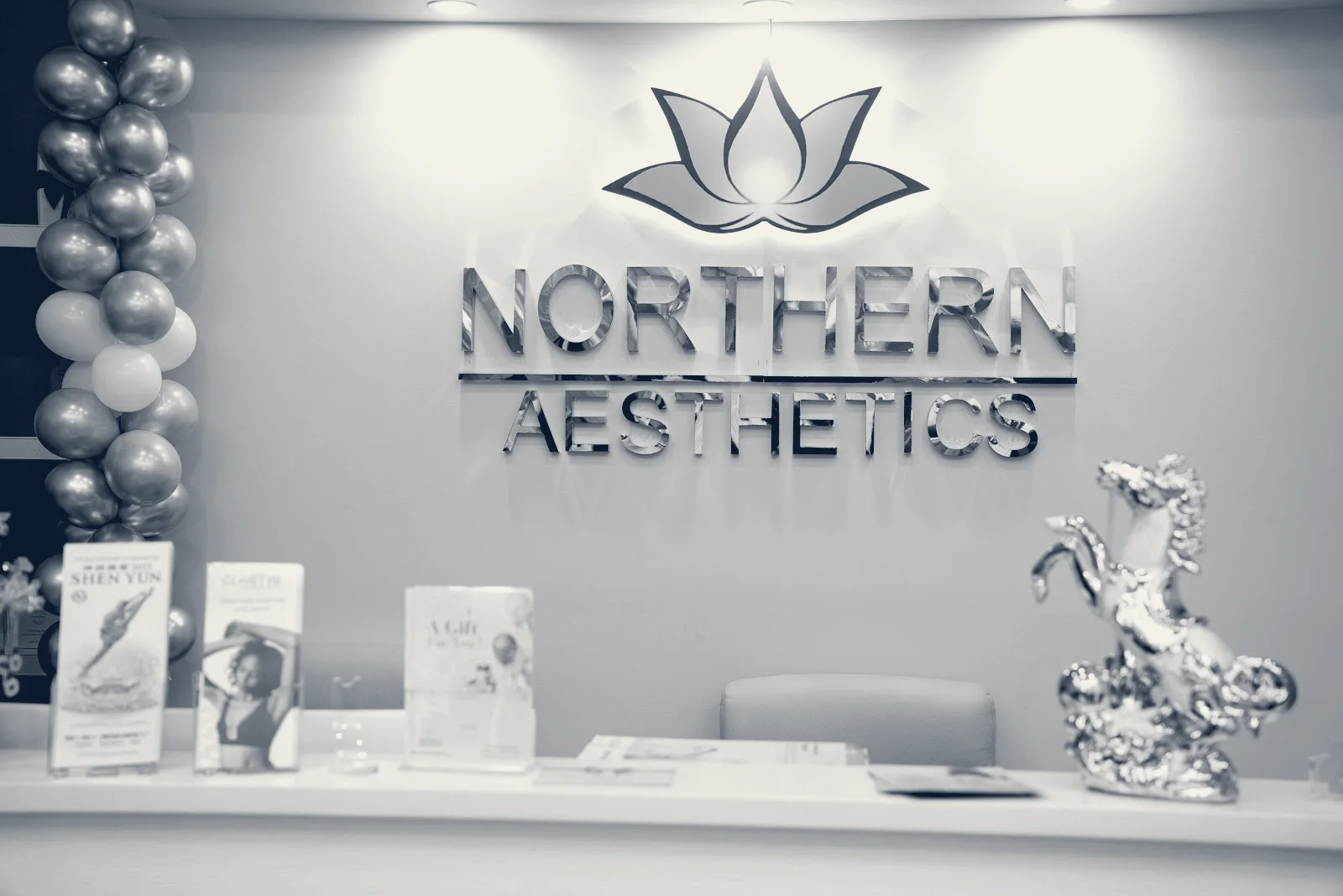 Northern Aesthetics — Middletown, New York