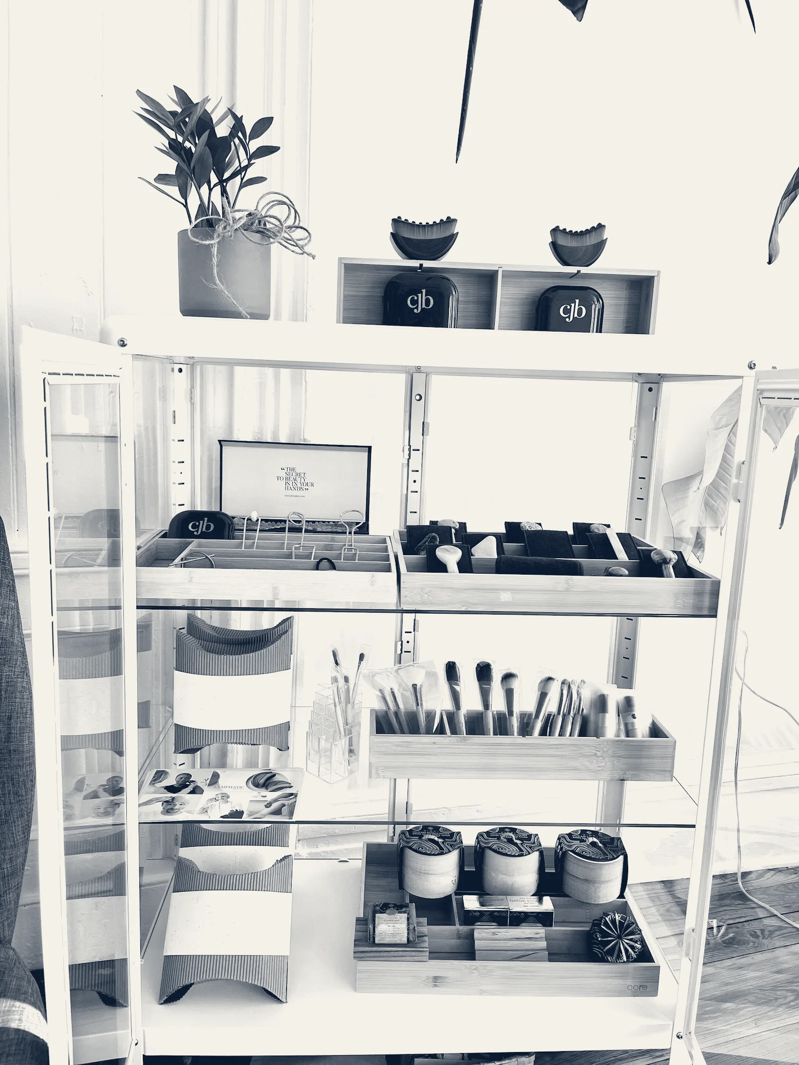 Beacon Aesthetics — Beacon, New York