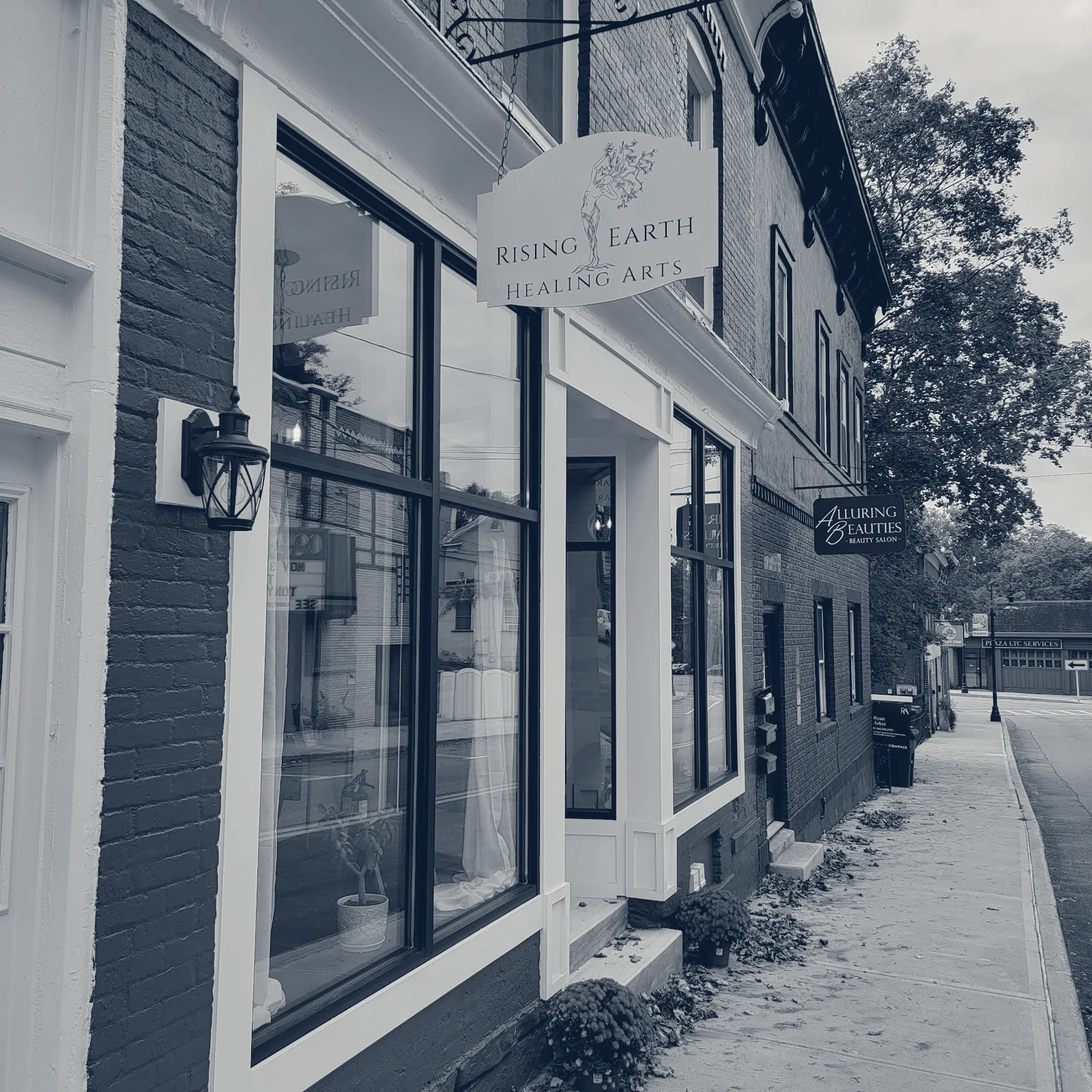 Rising Earth Healing Arts — Wappingers Falls, New York
