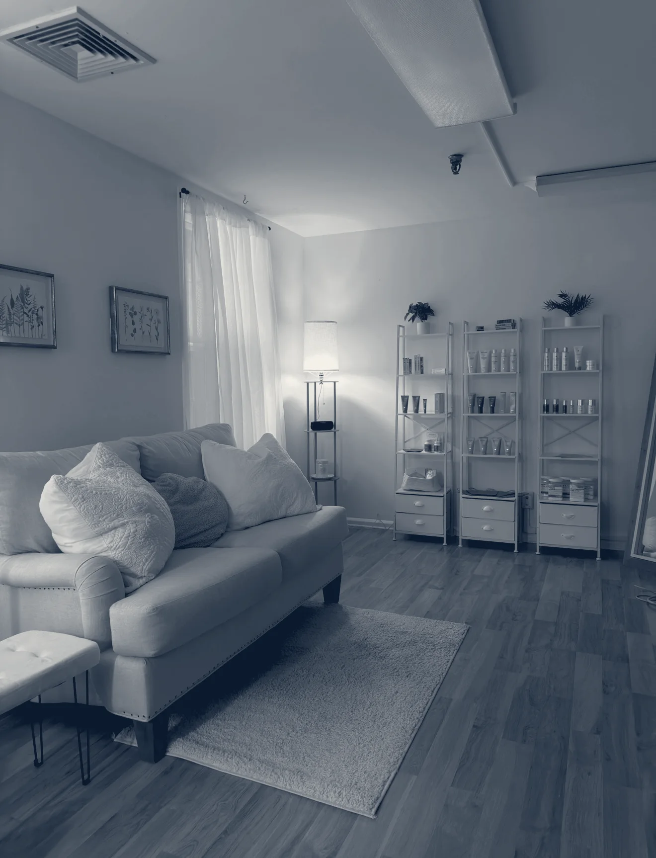 Blossom Skin Suite — Kingston, New York
