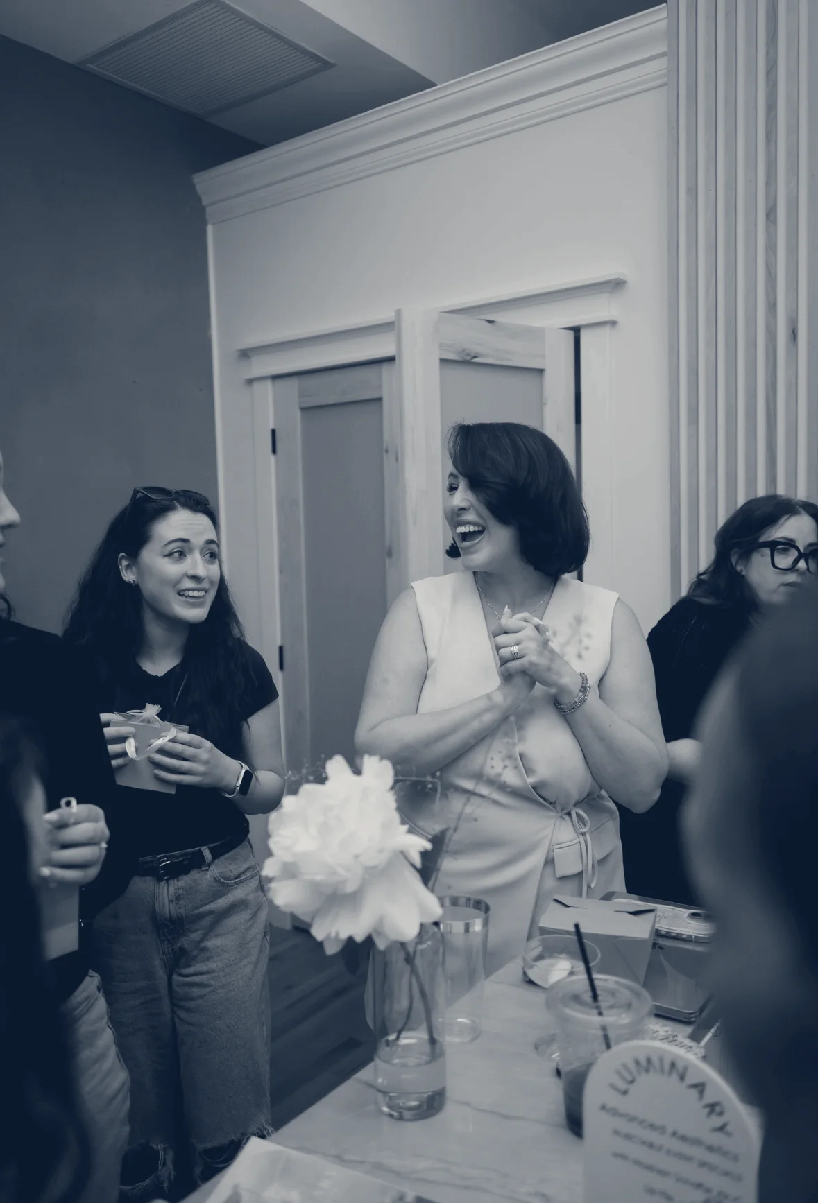 Luminary Advanced Aesthetics — Beacon, New York