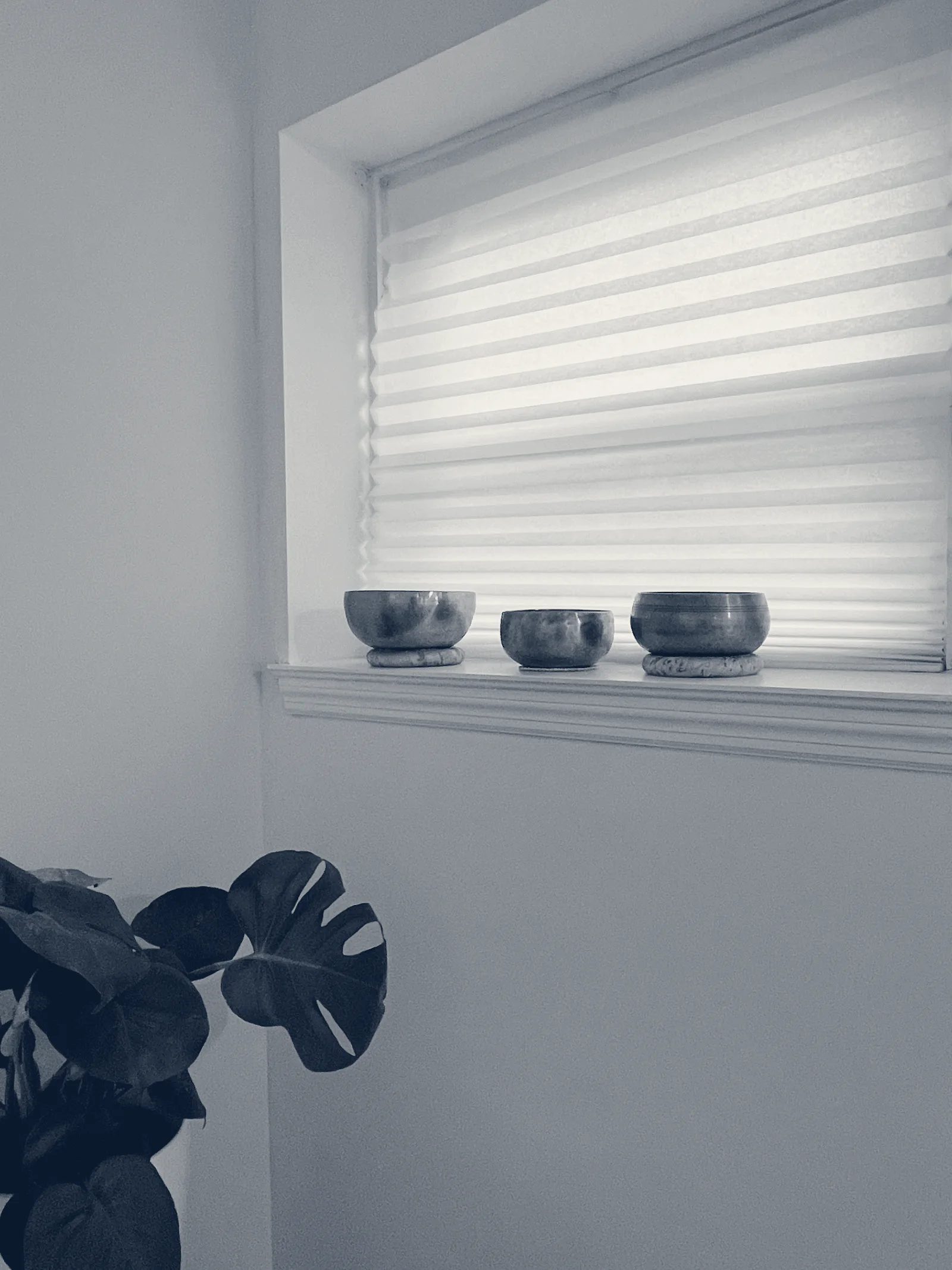 Partner To Heal — Beacon, New York