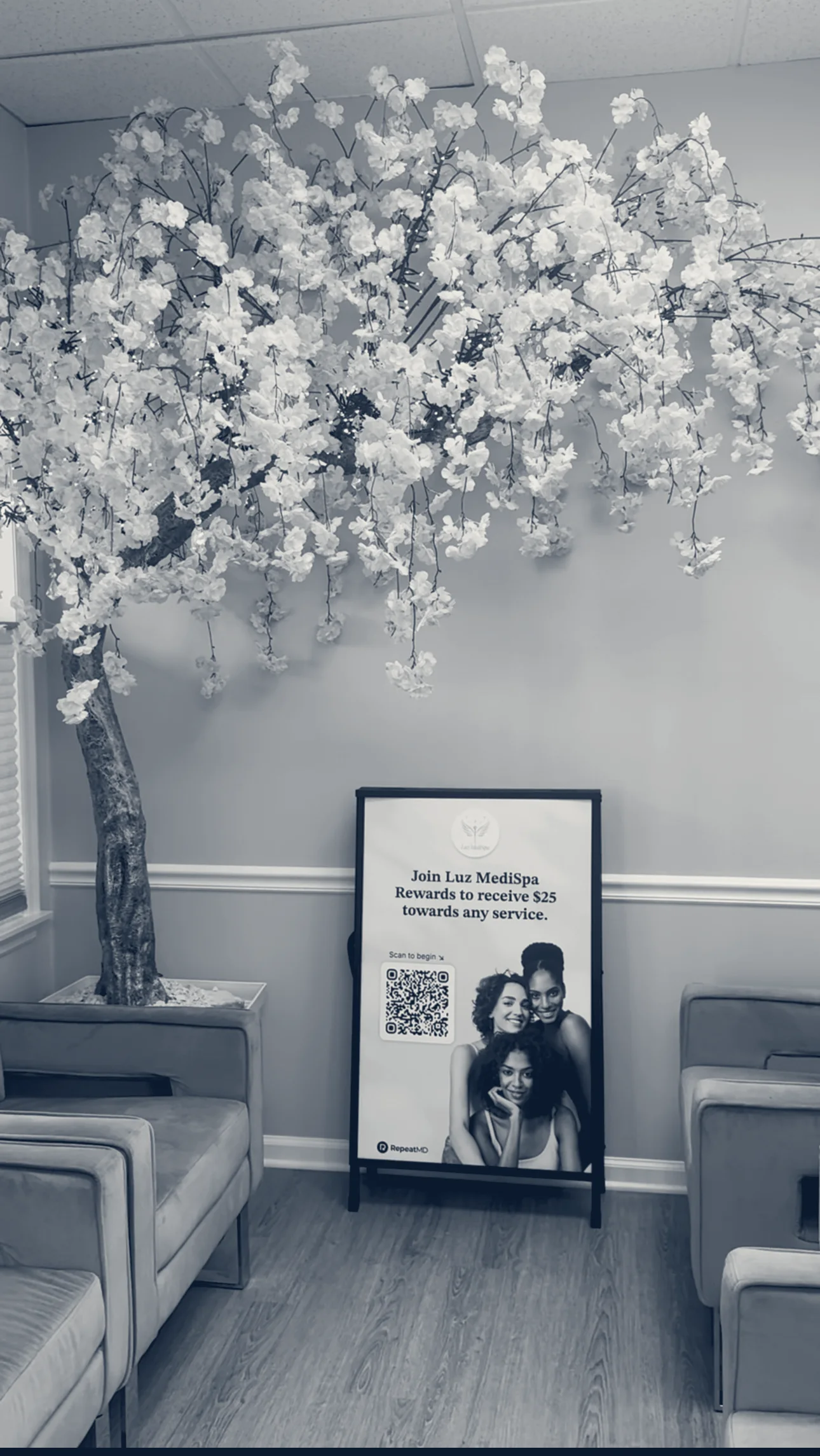 Luz MediSpa — Somers, New York