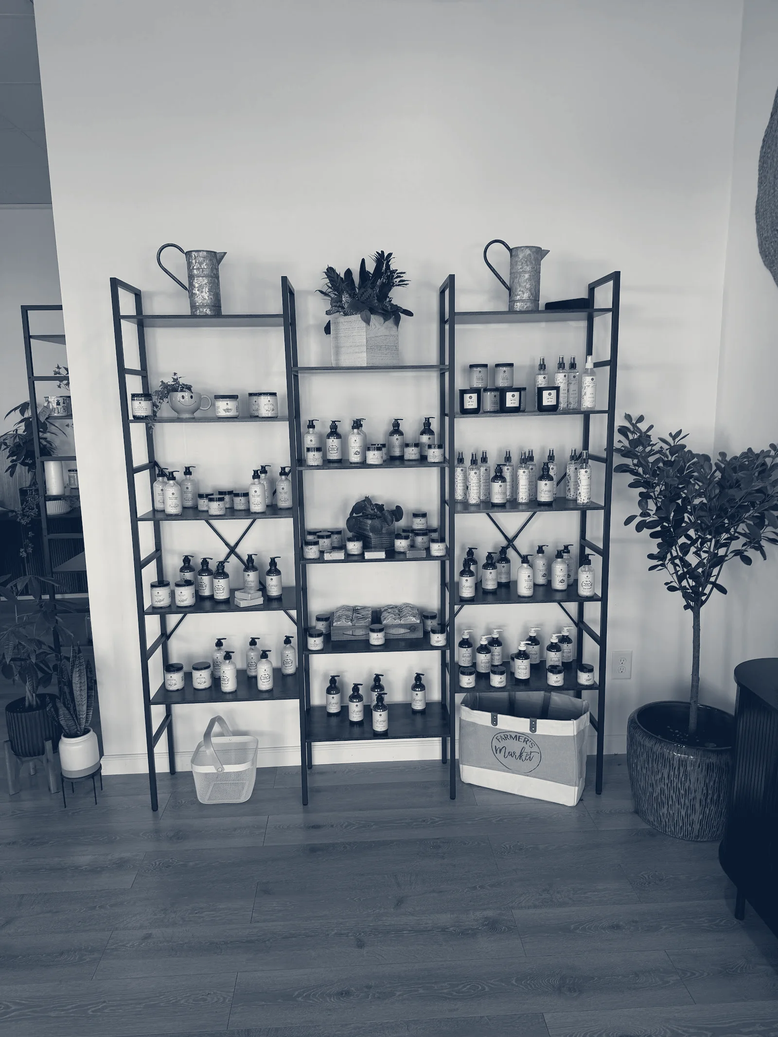 picassa self care — Monroe, New York
