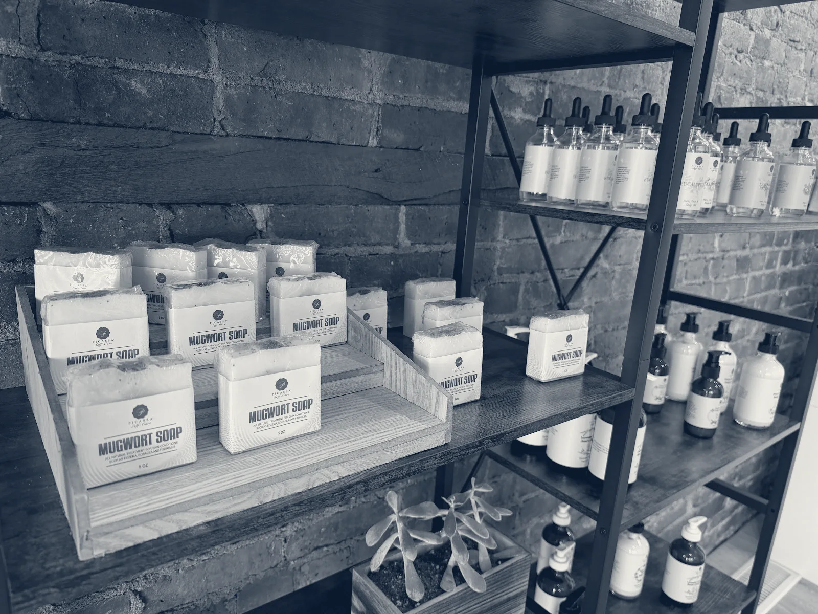 picassa self care — Monroe, New York