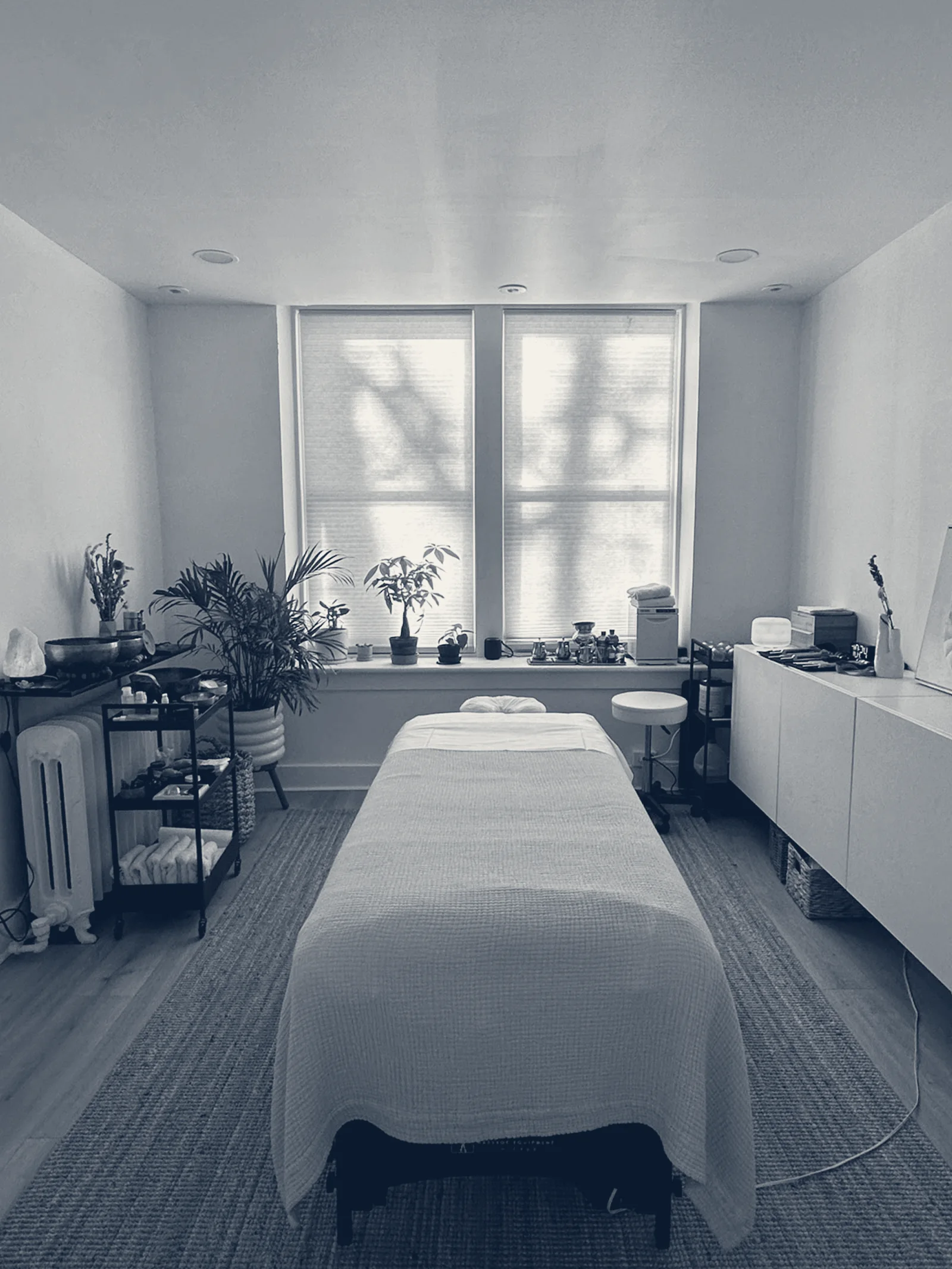 Attune Wellness / Ayurvedic Treatment + Massage — Kingston, New York