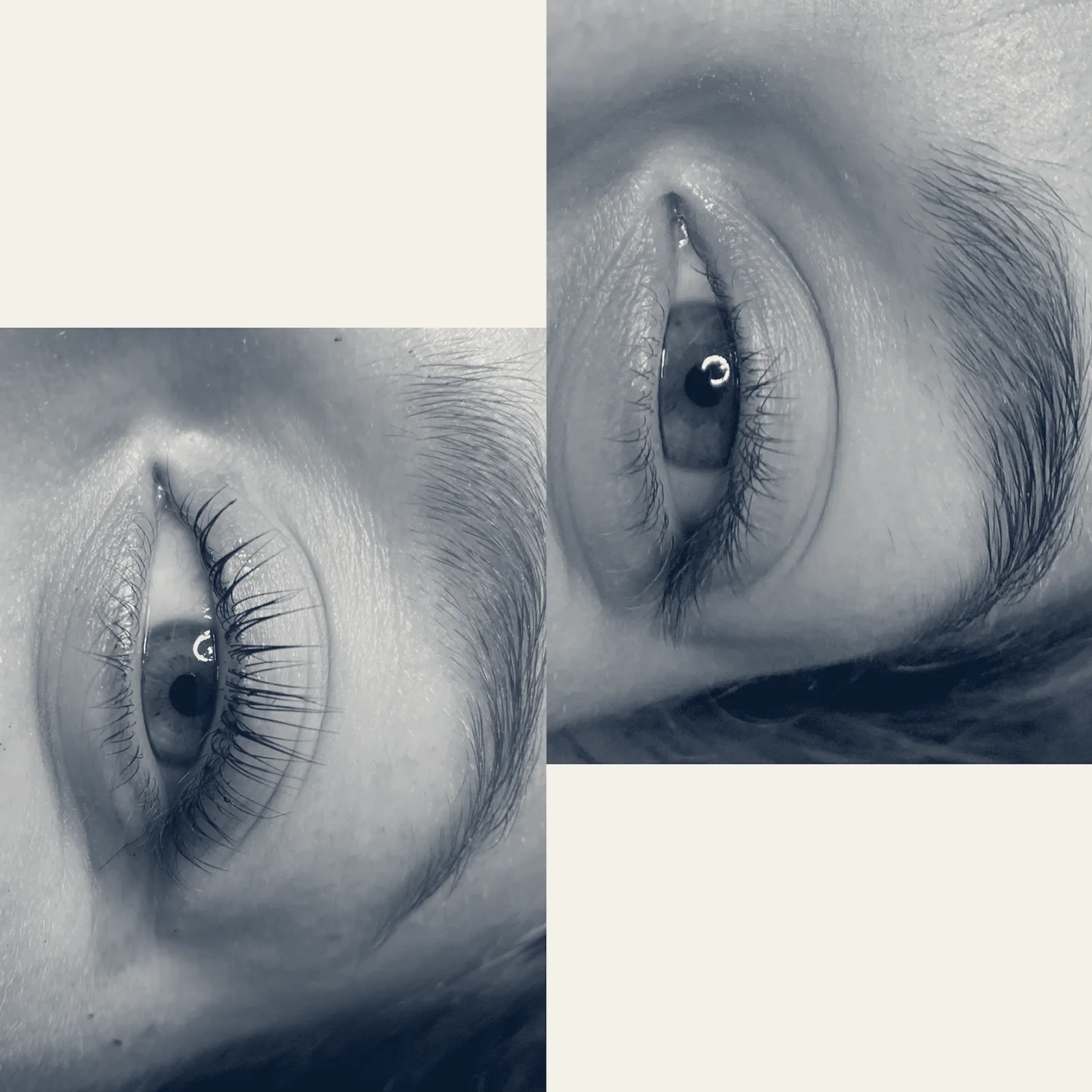 Kayla Rose Esthetics — Poughkeepsie, New York