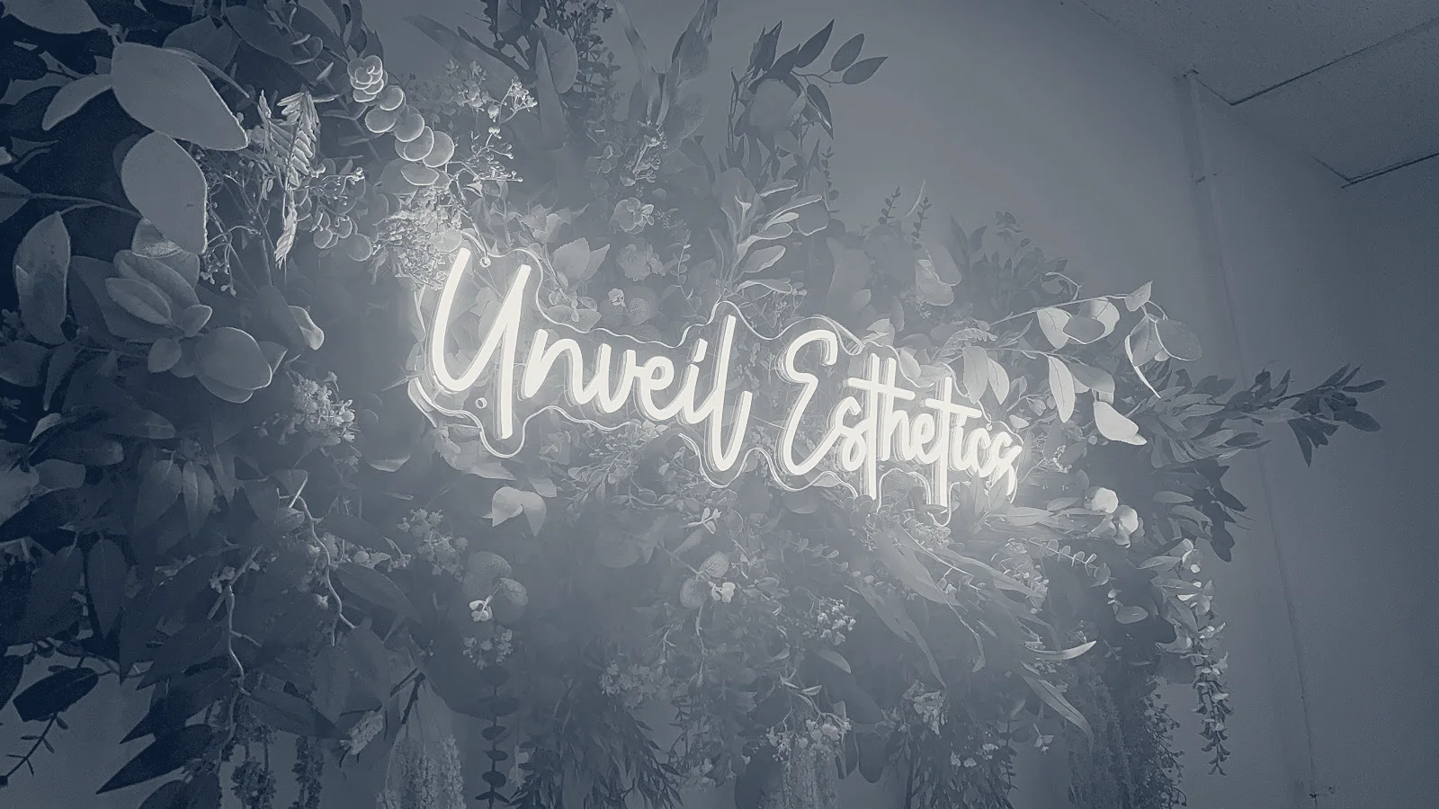 UNVEIL ESTHETICS — Cornwall, New York