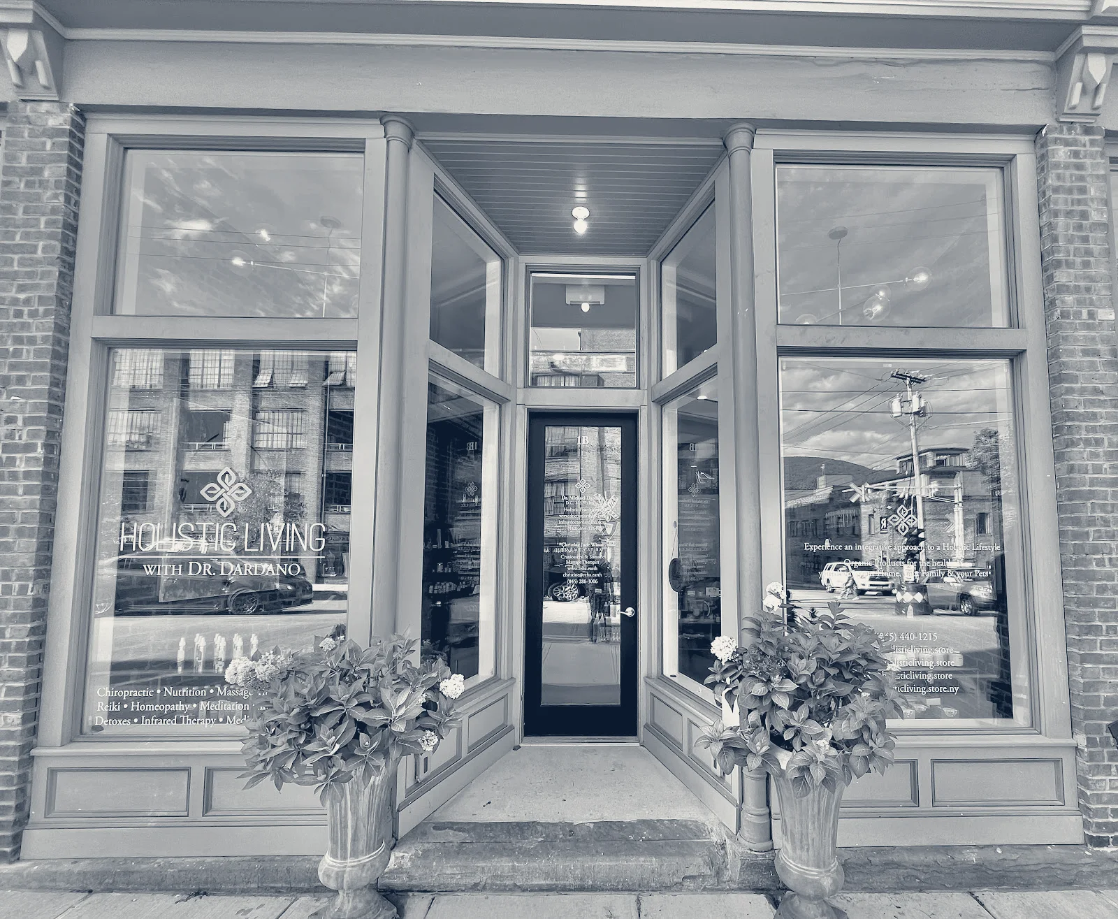 Balès esthetics — Beacon, New York