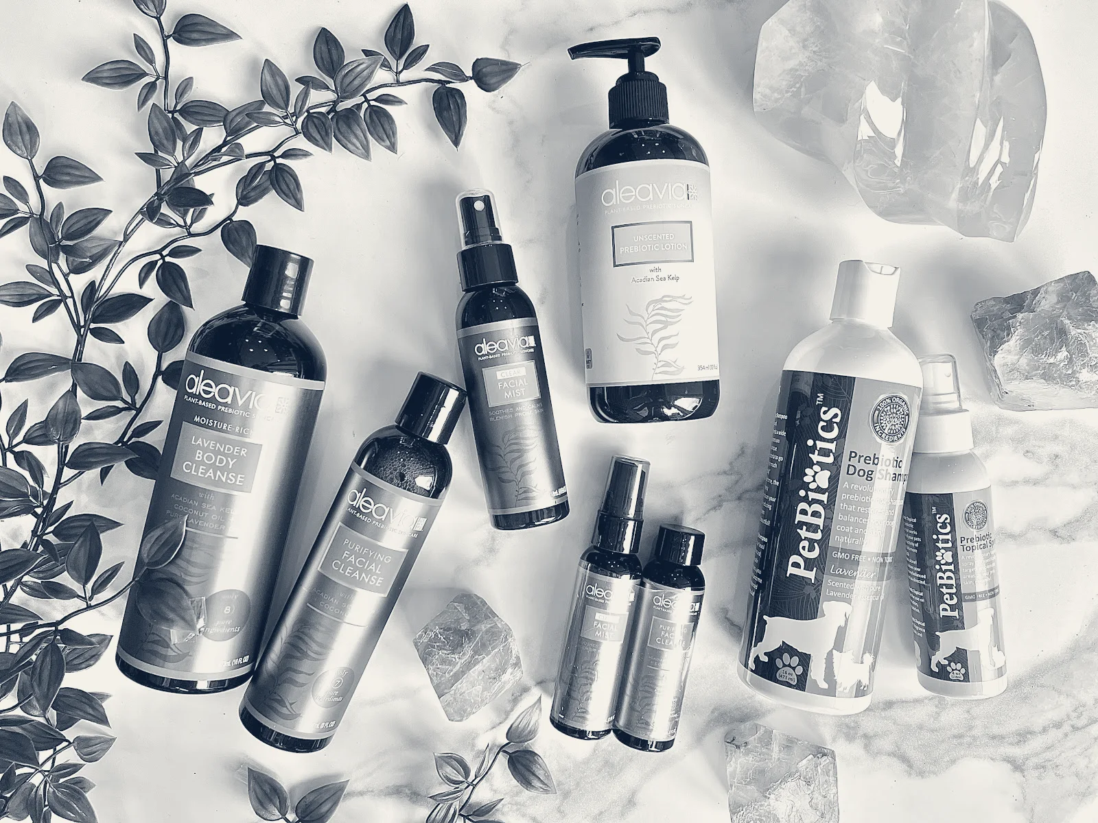 Balès esthetics — Beacon, New York