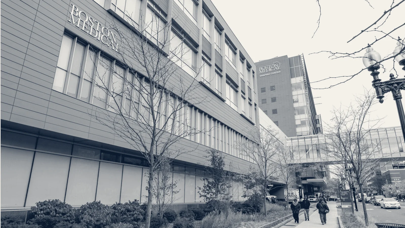 Dermatology at Boston Medical Center — Boston, Massachusetts