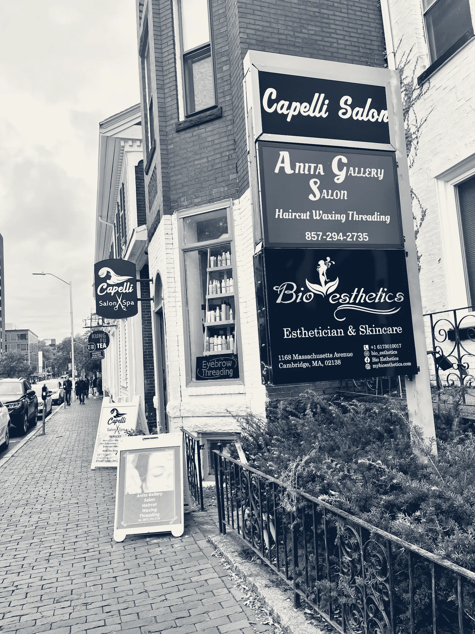 Bio Esthetics — Cambridge, Massachusetts
