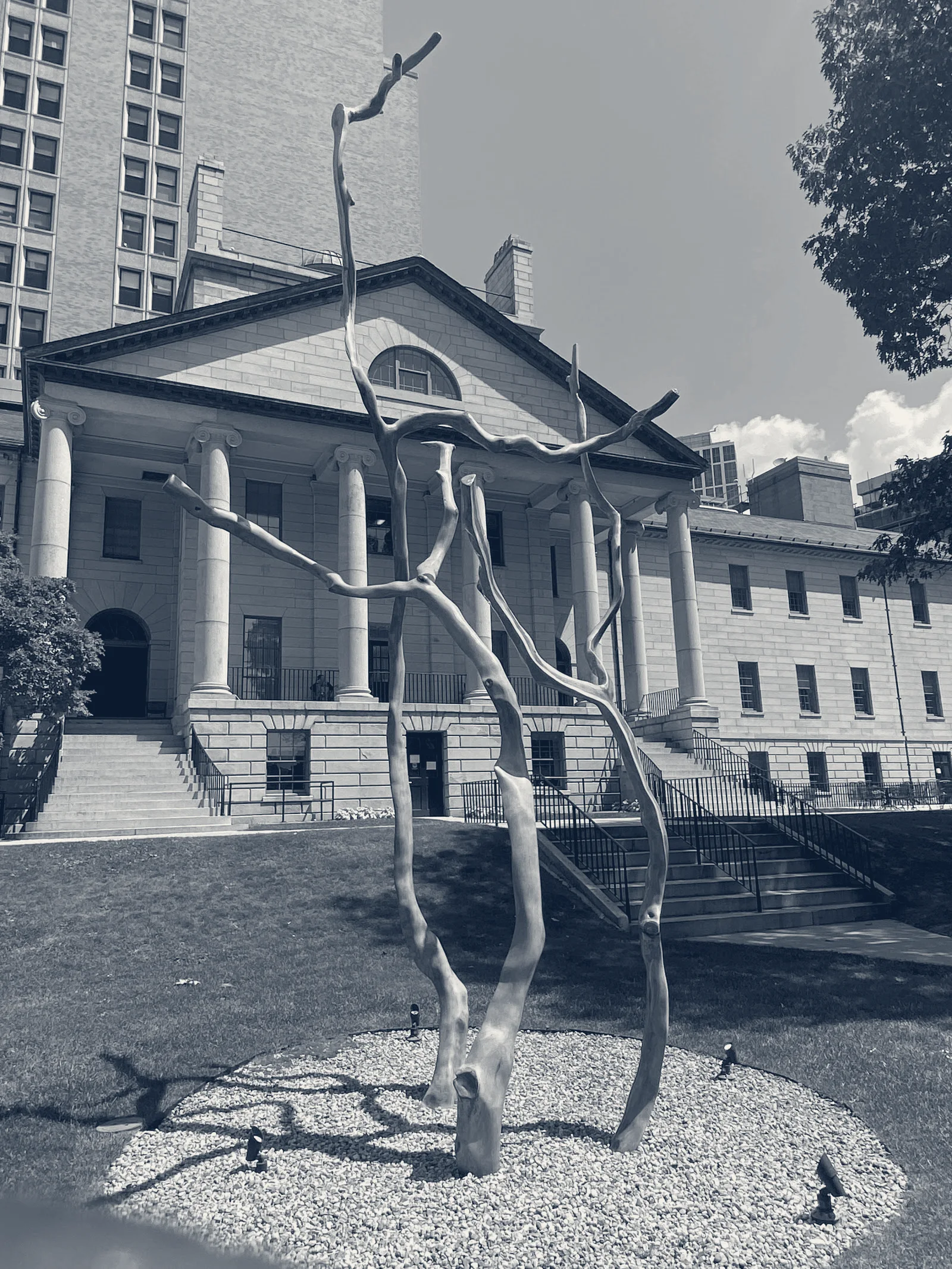 Wang Ambulatory Care Center — Boston, Massachusetts
