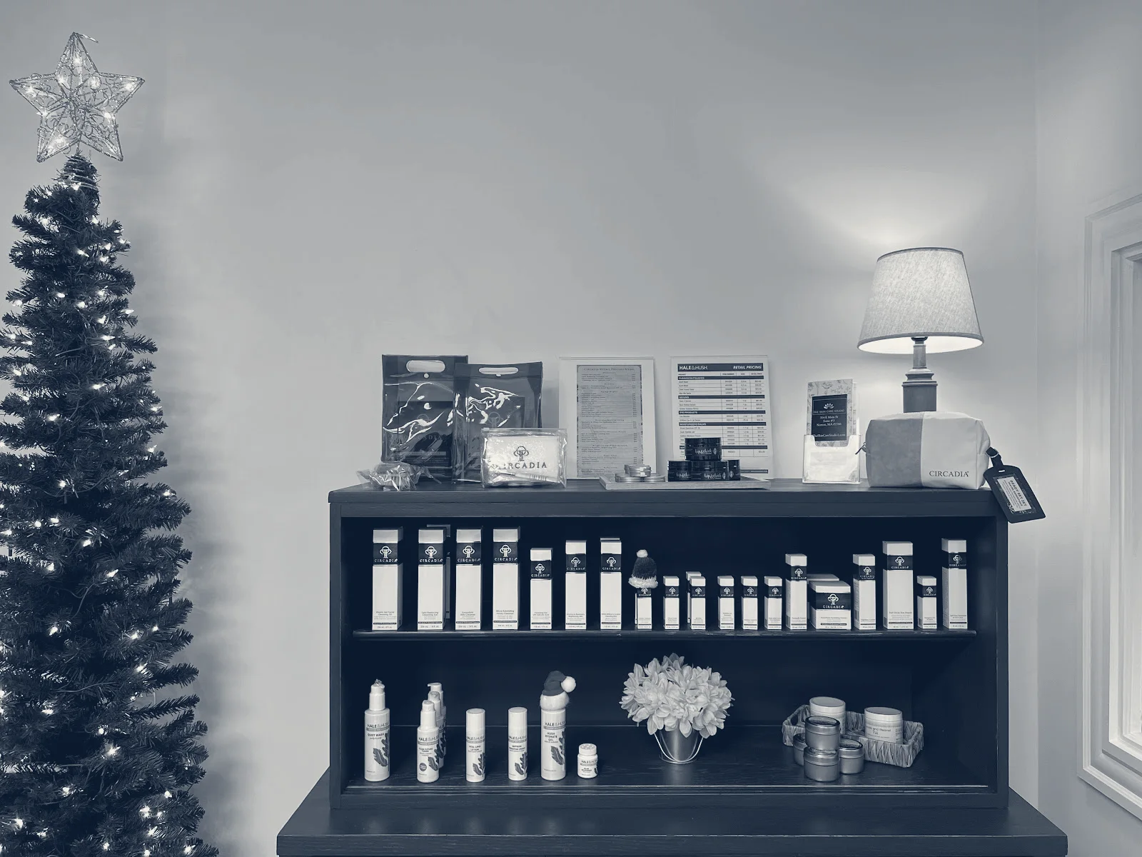 The Skin Care Studio — Norton, Massachusetts