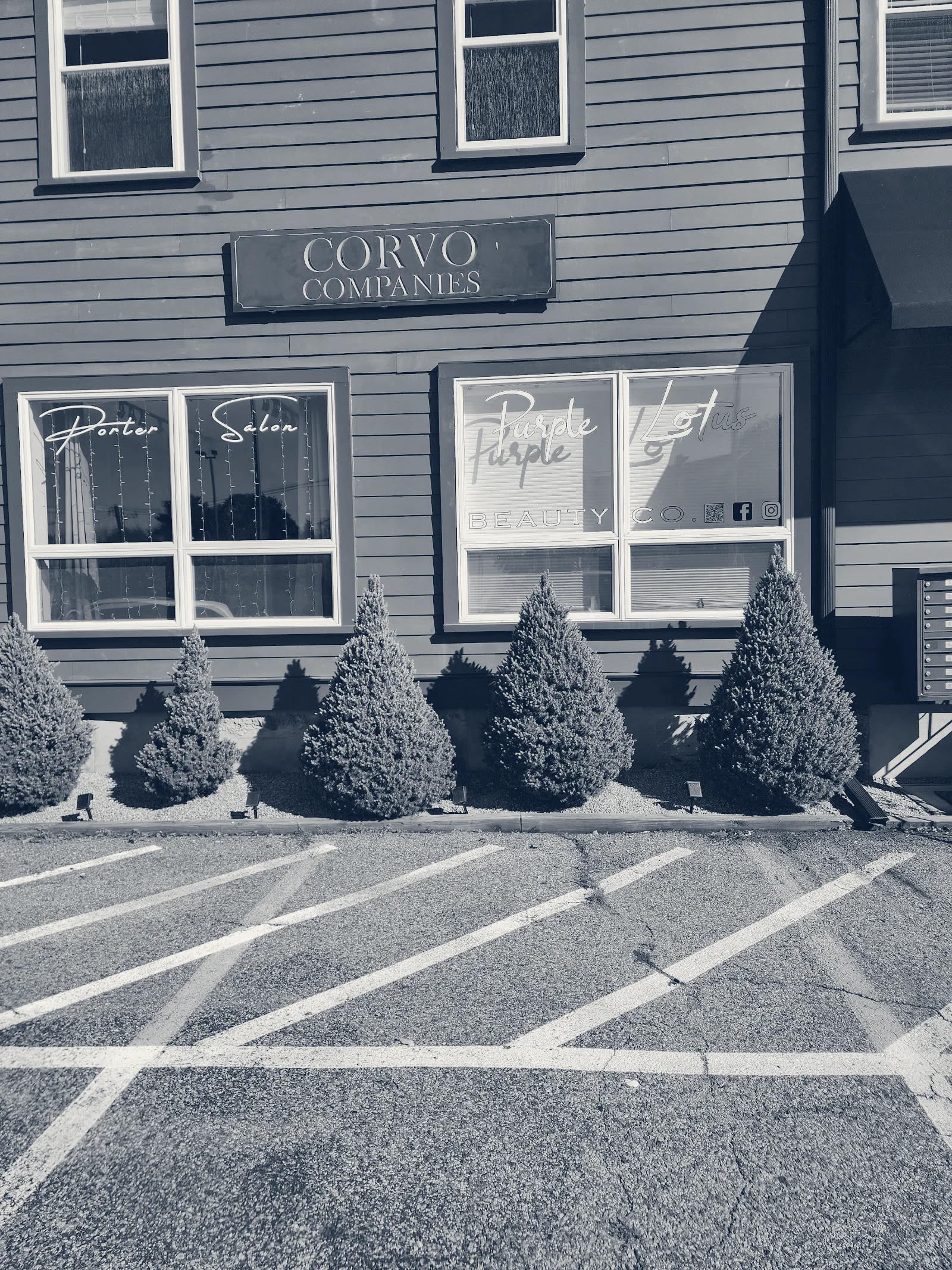Purple Lotus Beauty Co. — Stoughton, Massachusetts