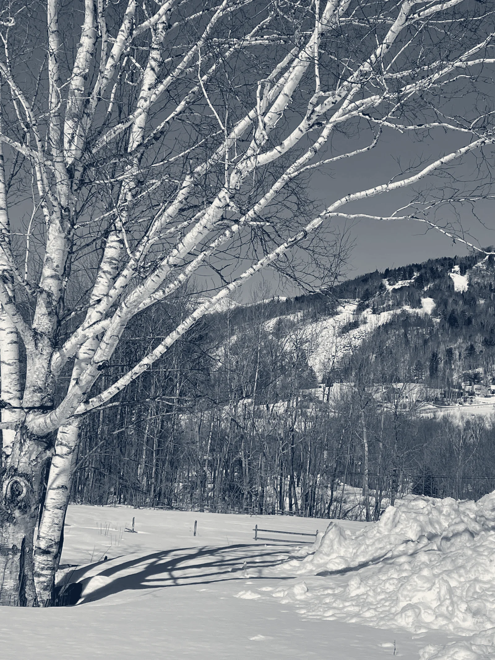 Northeast Dermatology Associates — North Andover, Massachusetts
