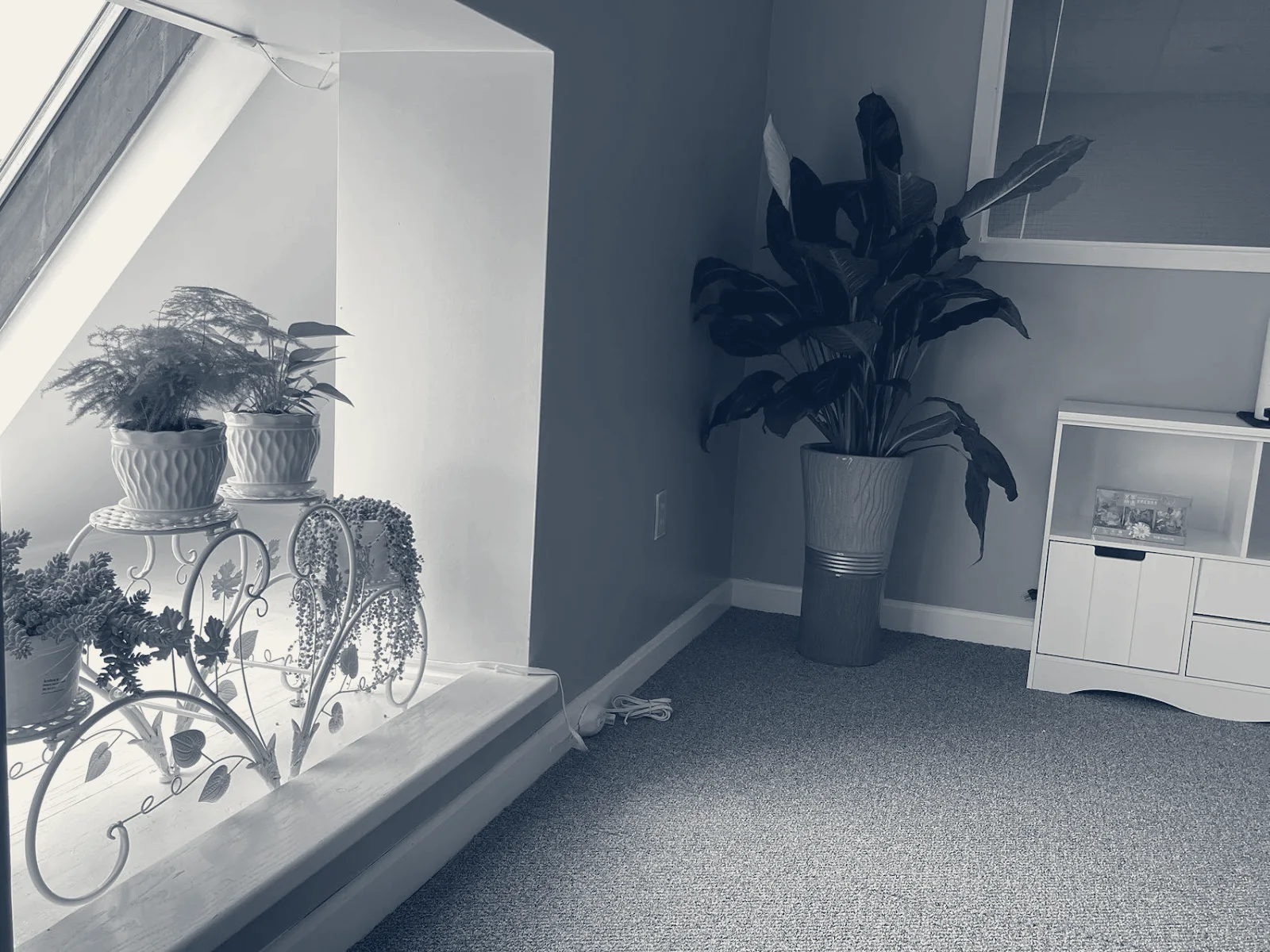 Newton Center Day Spa — Newton, Massachusetts