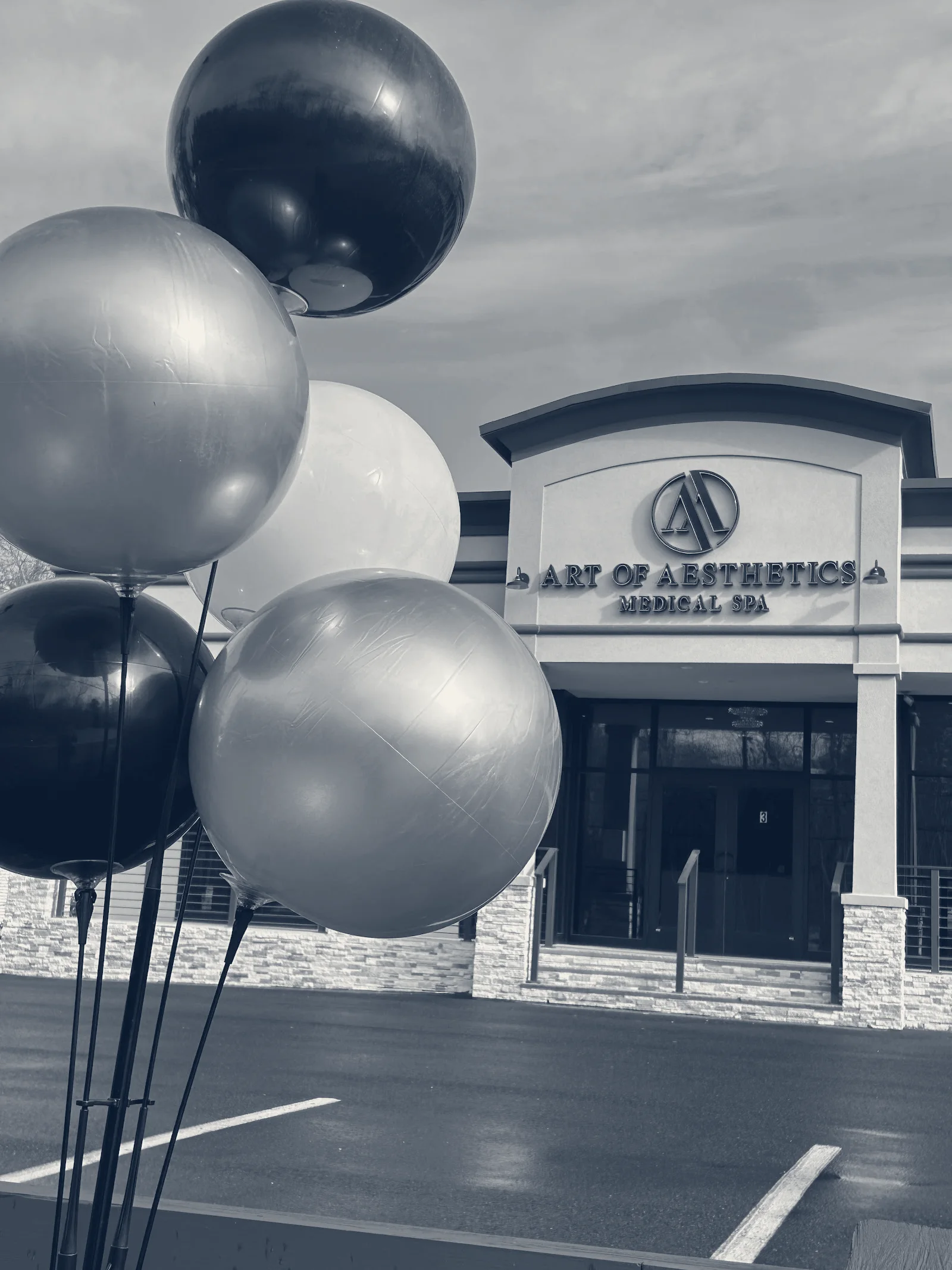 Art of Aesthetics Medical Spa — West Bridgewater, Massachusetts