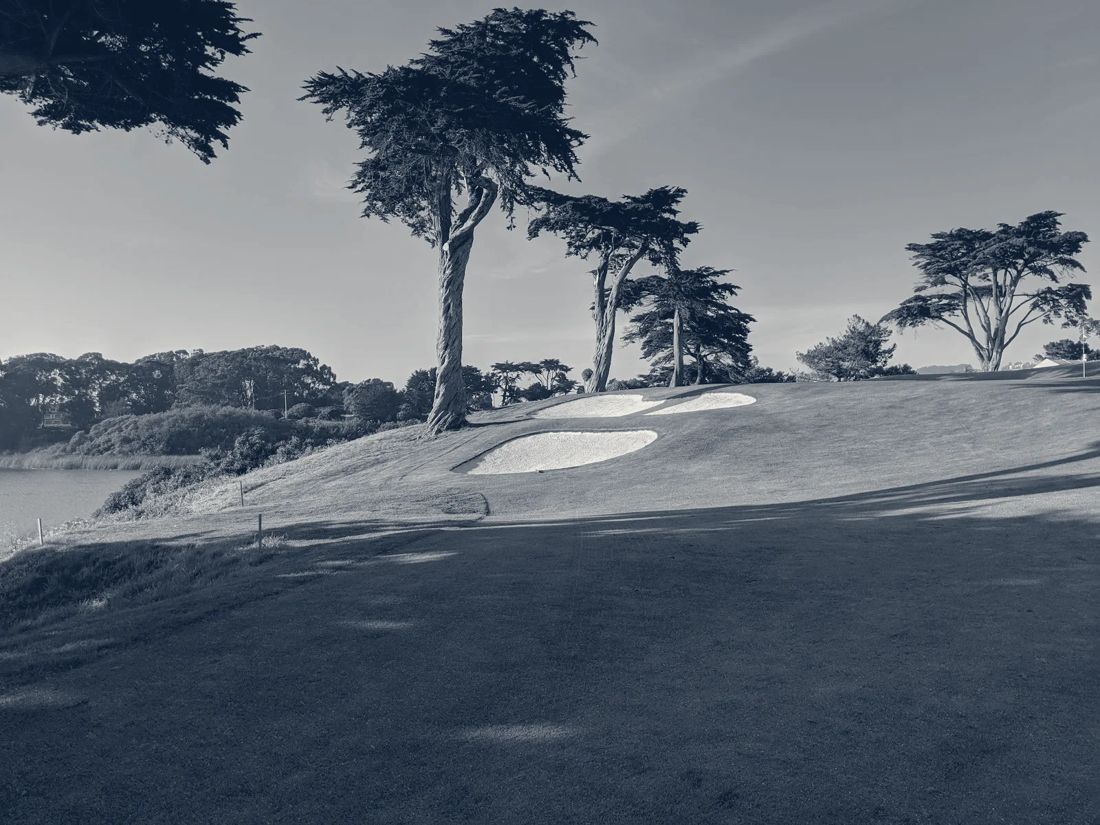 TPC Harding Park — San Francisco, California