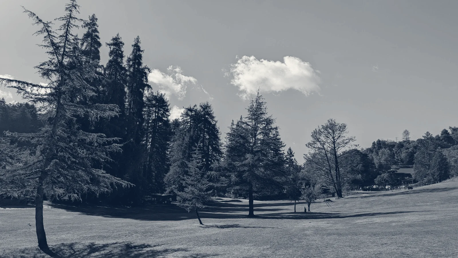 Mill Valley Golf Course — Mill Valley, California