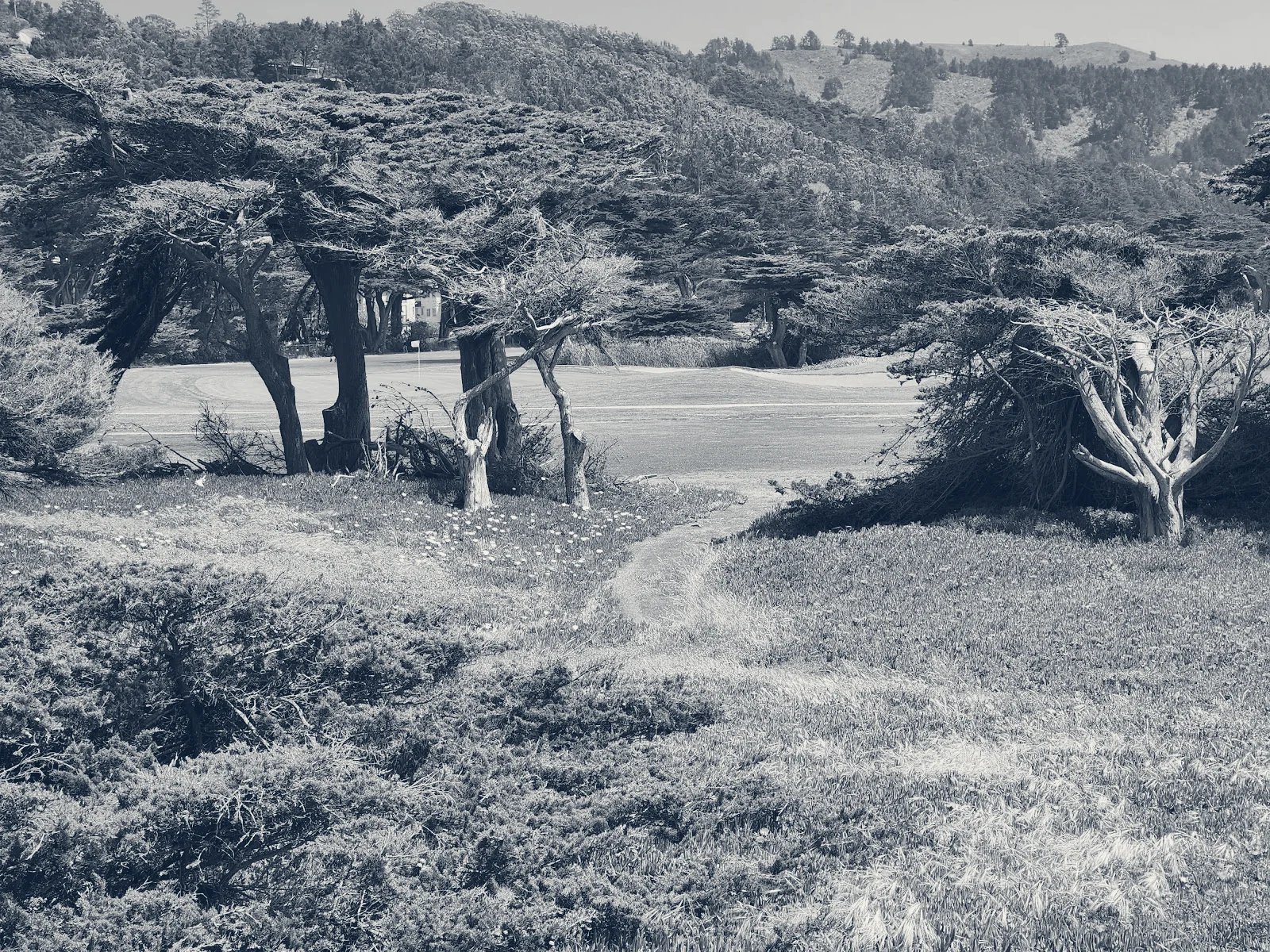 Sharp Park Golf Course — Pacifica, California
