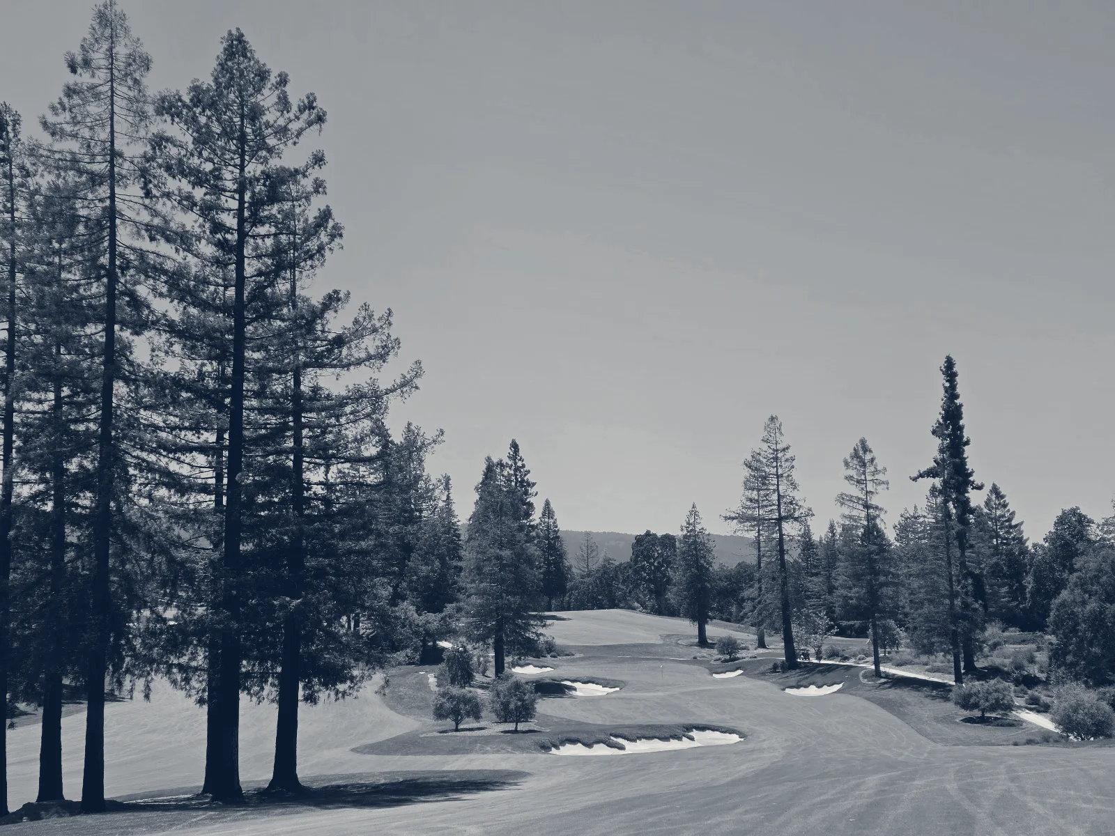 Sharon Heights Golf and Country Club — Menlo Park, California