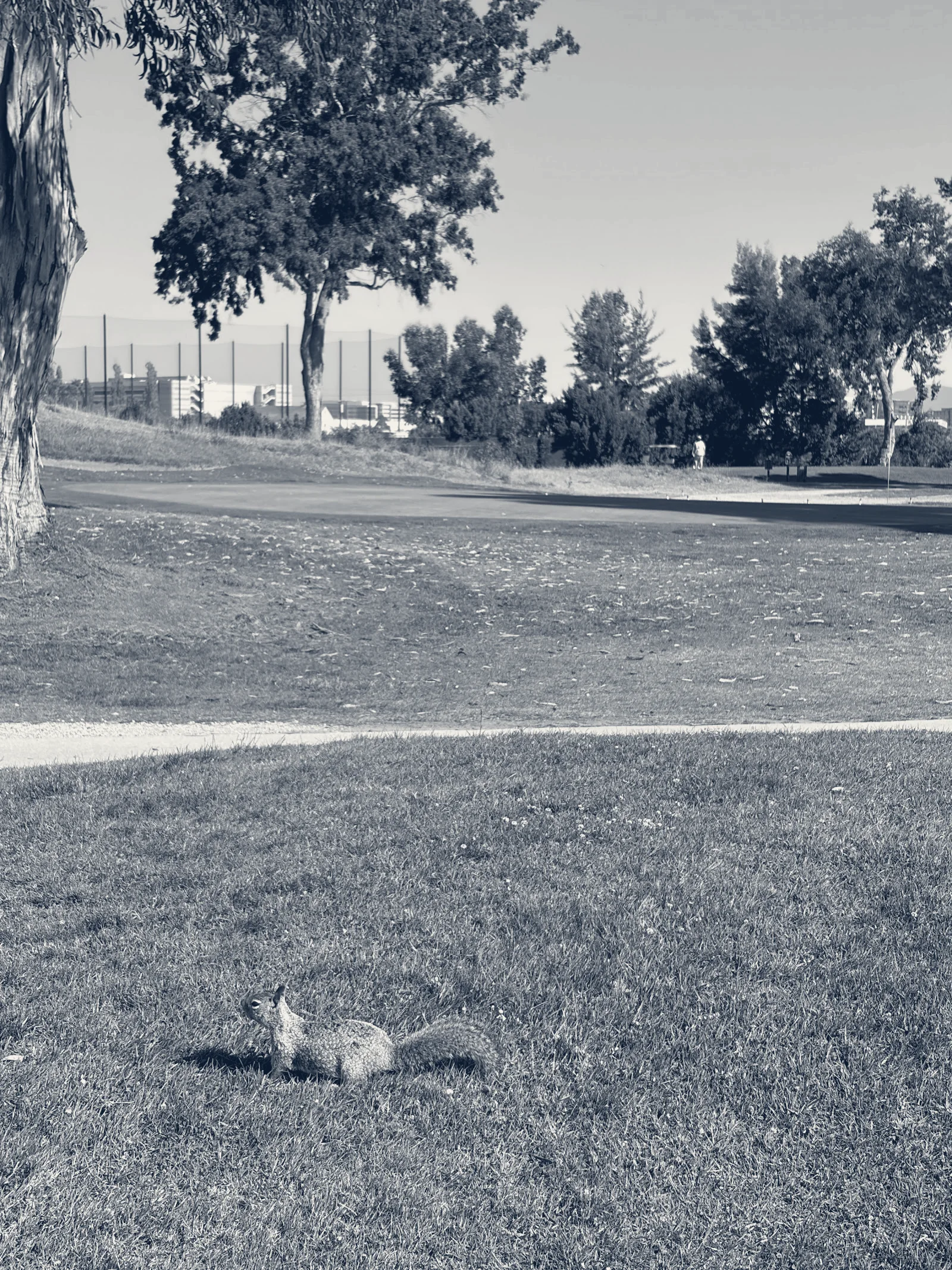 The Golf Club At Moffett Field — Mountain View, California