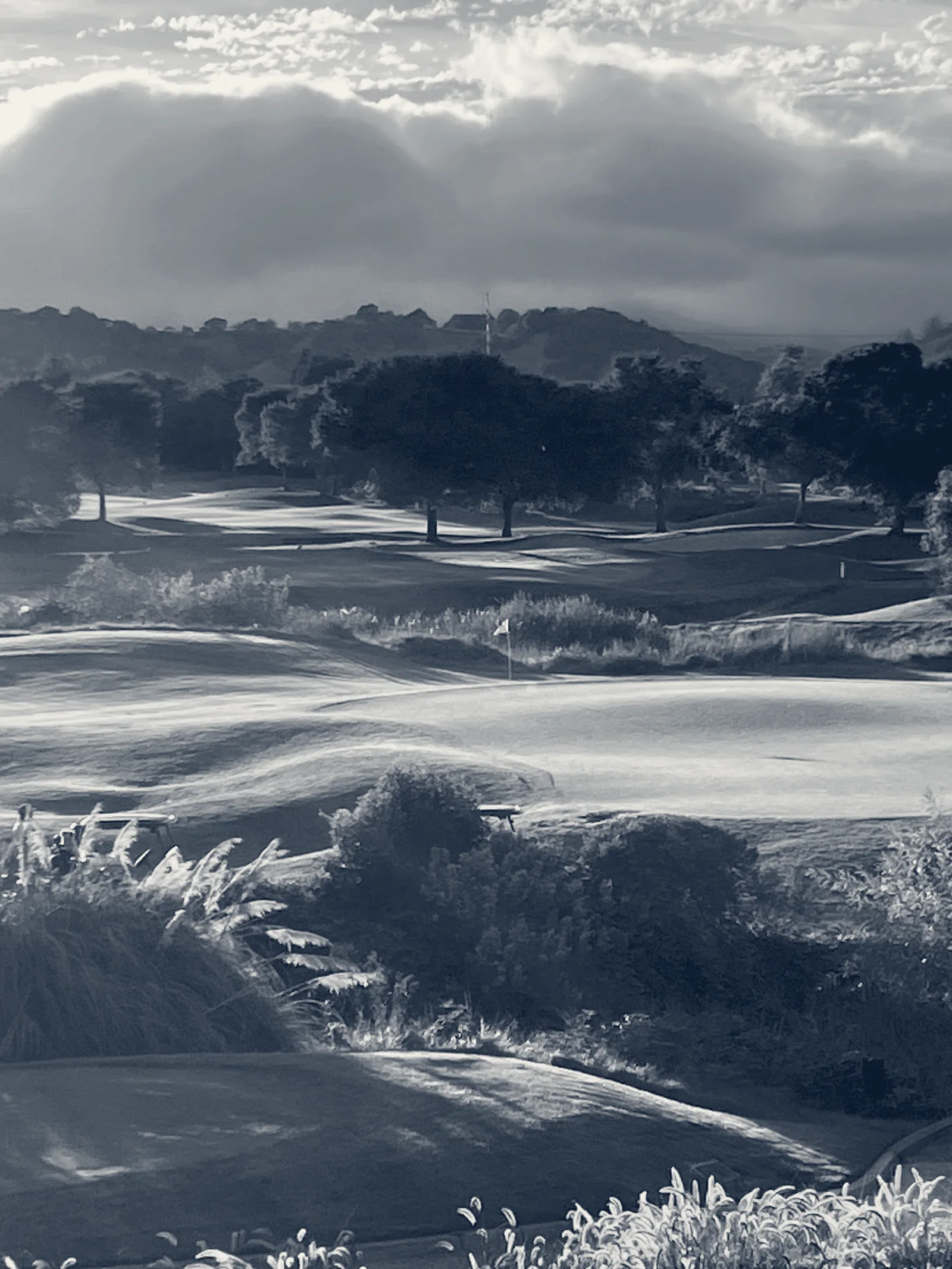 StoneTree Golf Club — Novato, California