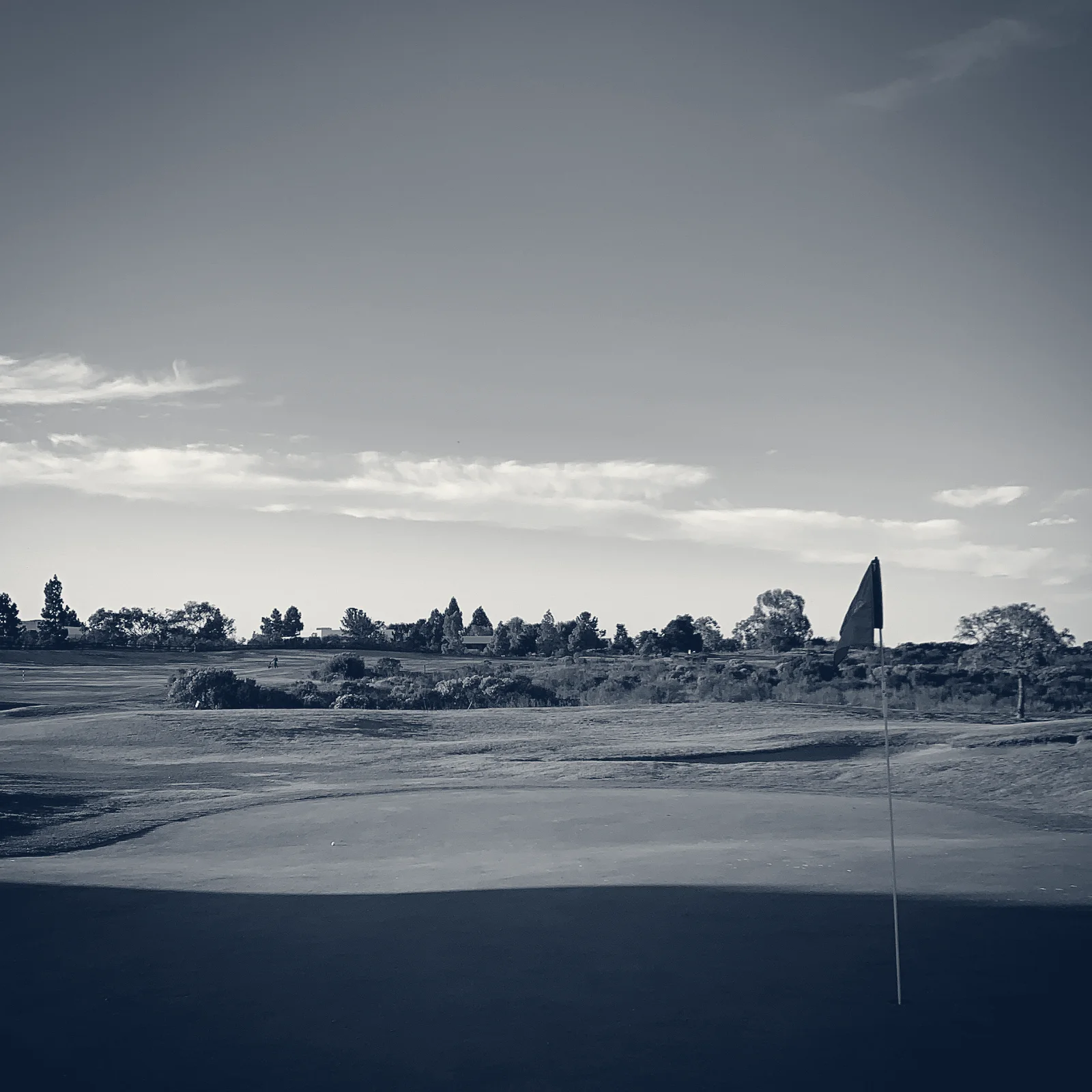 Shoreline Golf Links — Mountain View, California