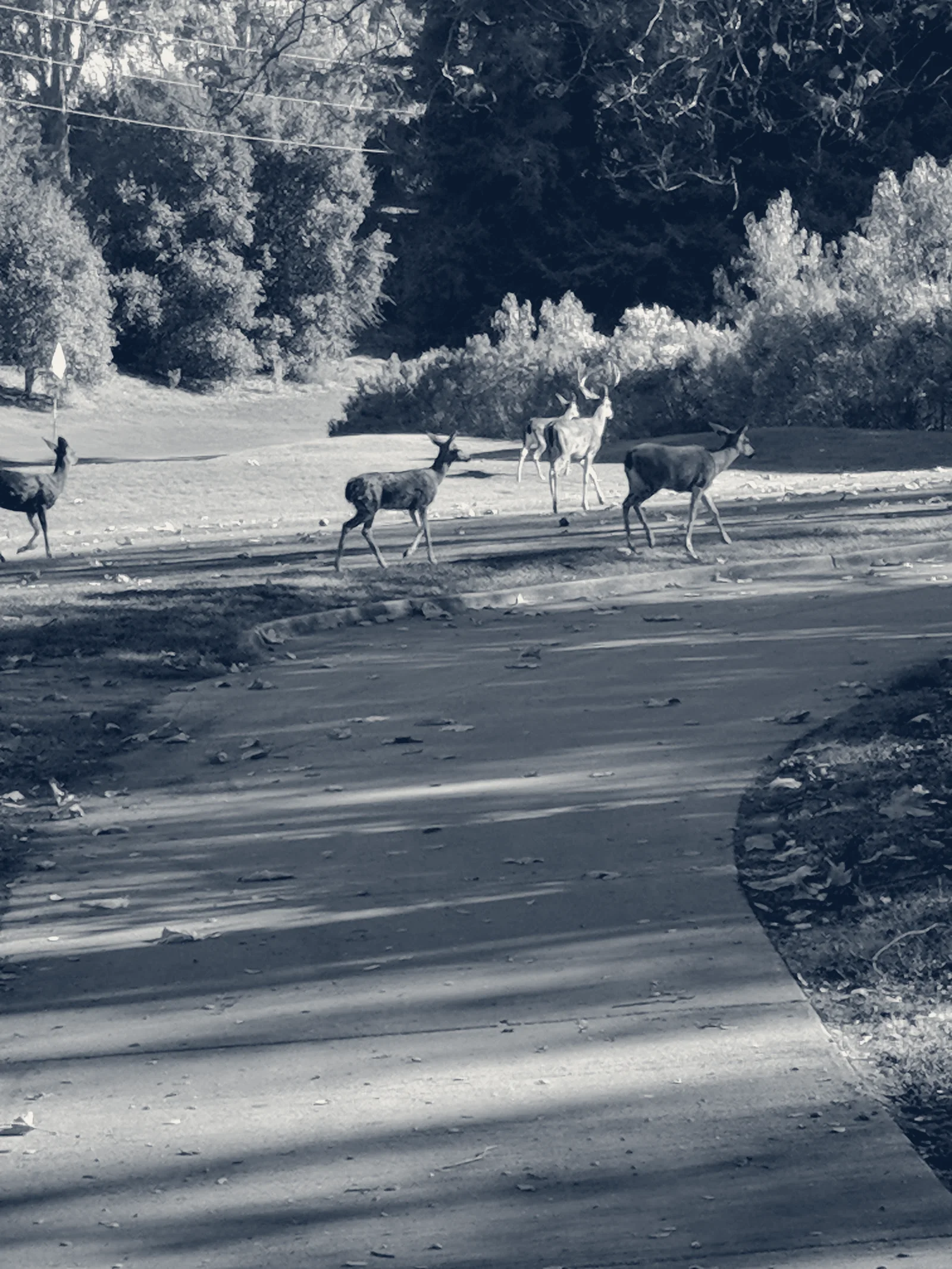 Deep Cliff Golf Course — Cupertino, California