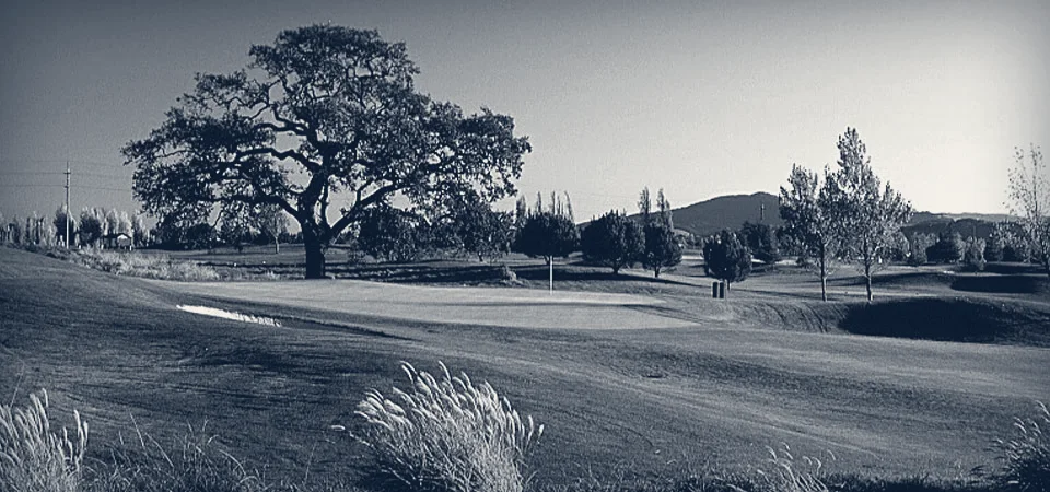 Rooster Run Golf Club — Petaluma, California