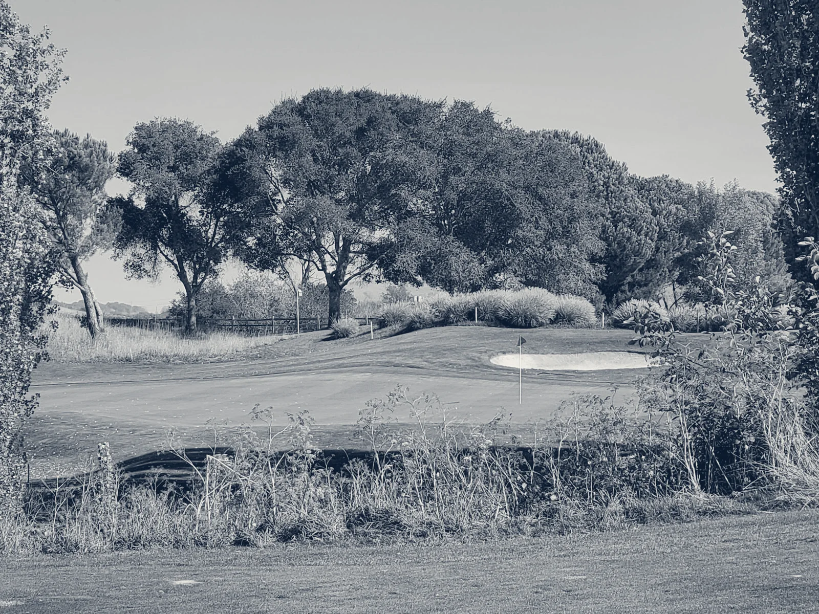 Rooster Run Golf Club — Petaluma, California