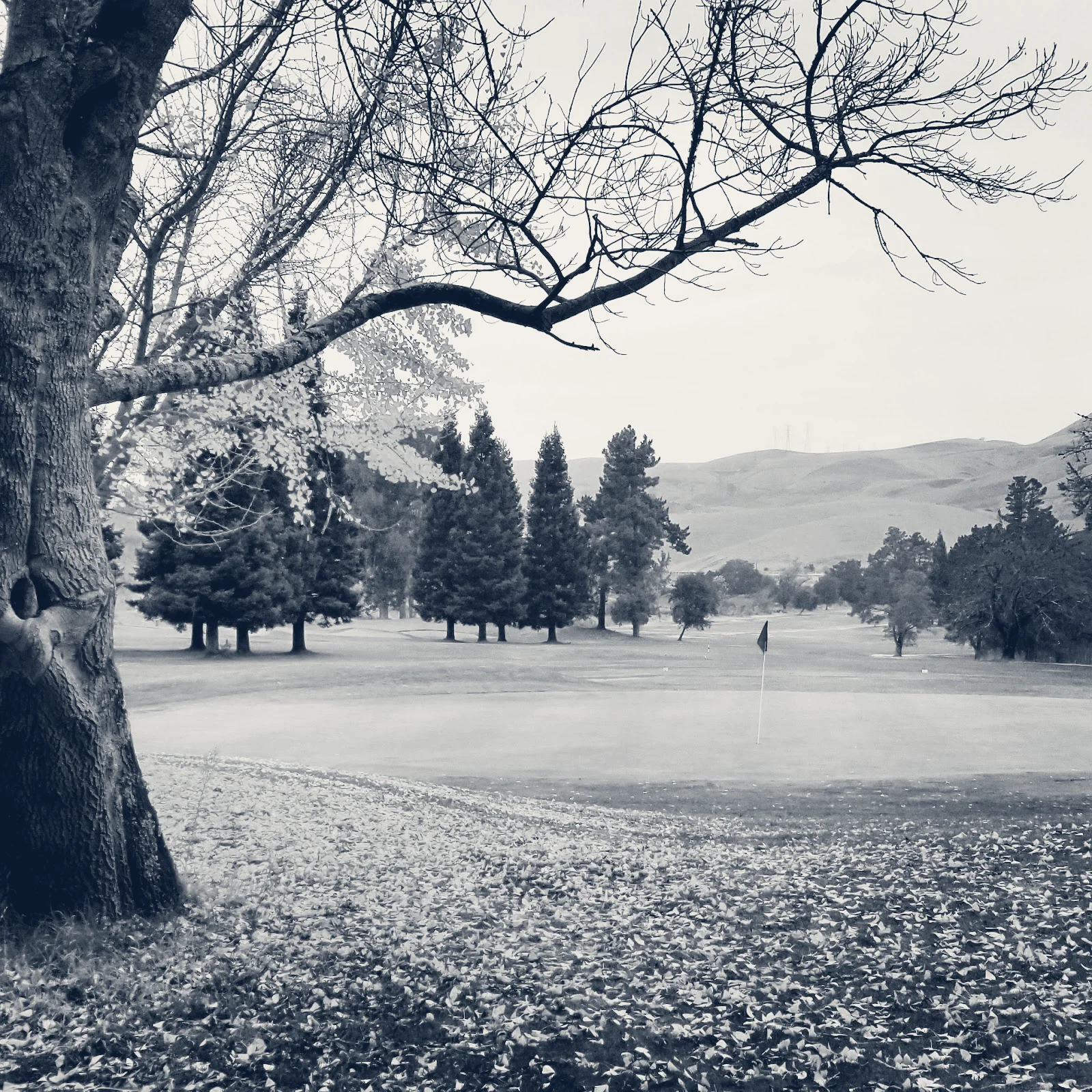Franklin Canyon Golf Course — Hercules, California