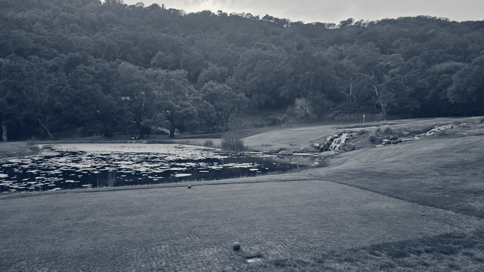 The Club at Castlewood — Pleasanton, California