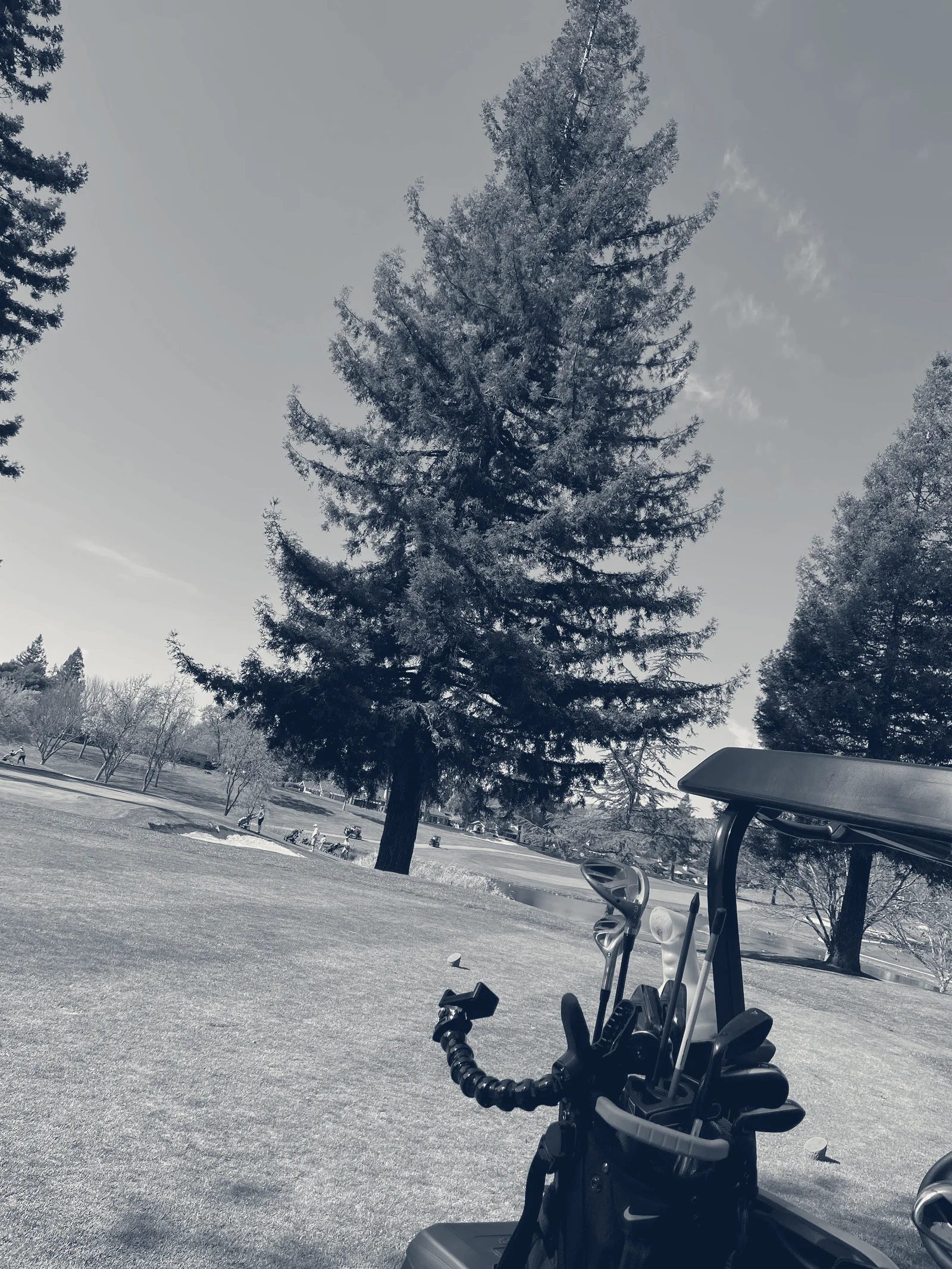 Bay Club Crow Canyon — Danville, California