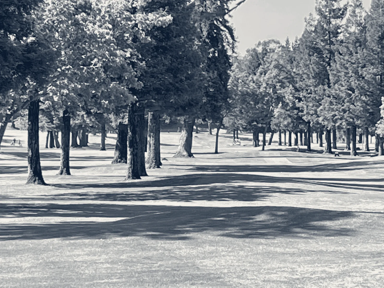 Blackberry Farm Golf Course — Cupertino, California