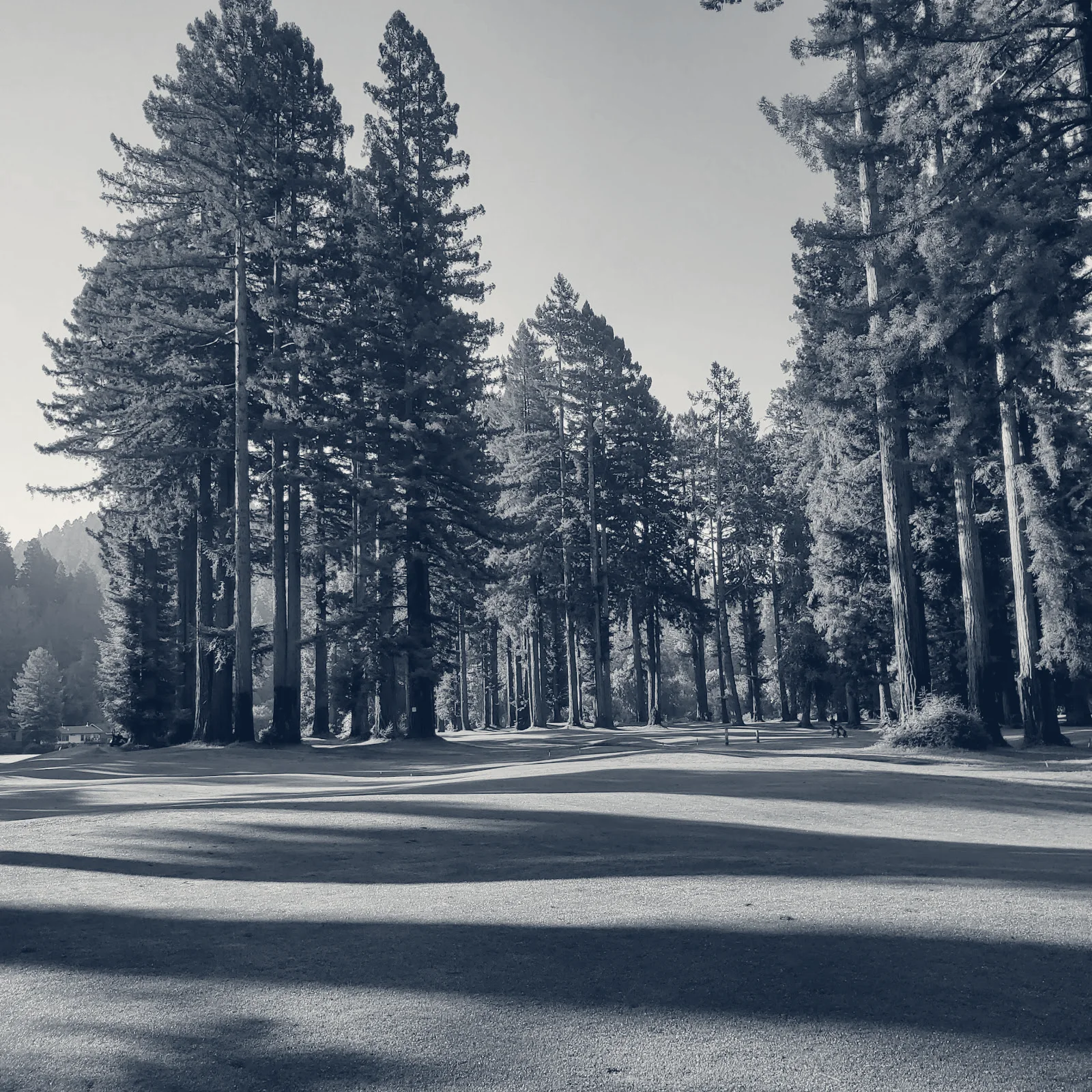 Northwood Golf Club — Monte Rio, California