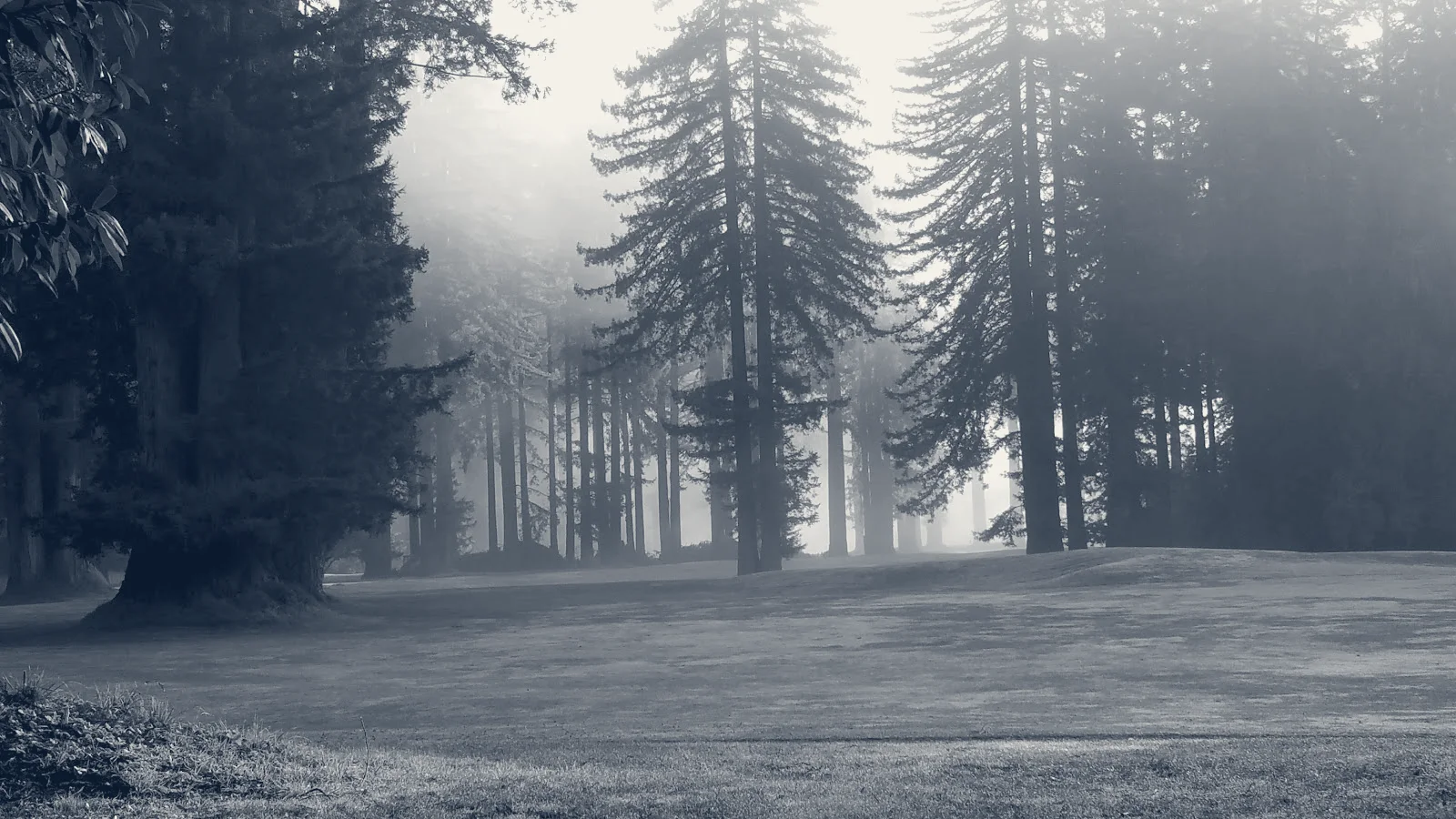 Northwood Golf Club — Monte Rio, California