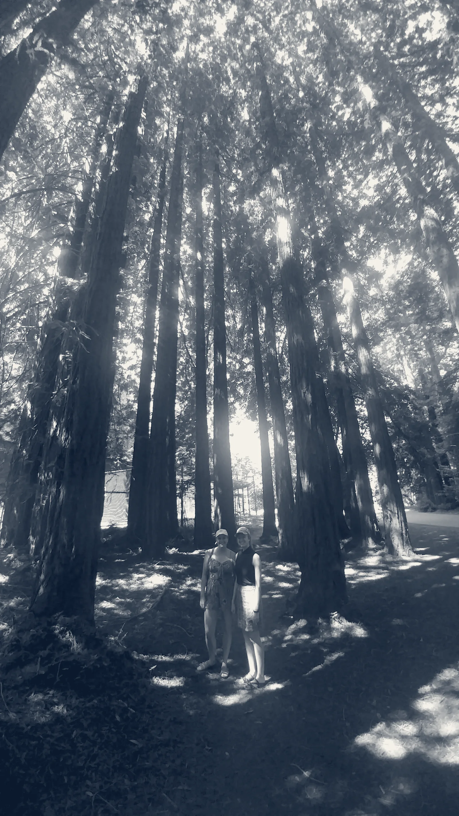 Lagunitas Country Club — Ross, California