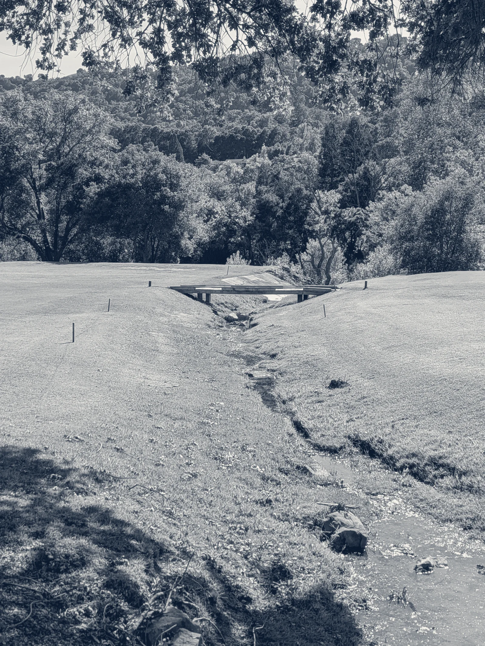 The Club at Castlewood - The Valley Course — Pleasanton, California