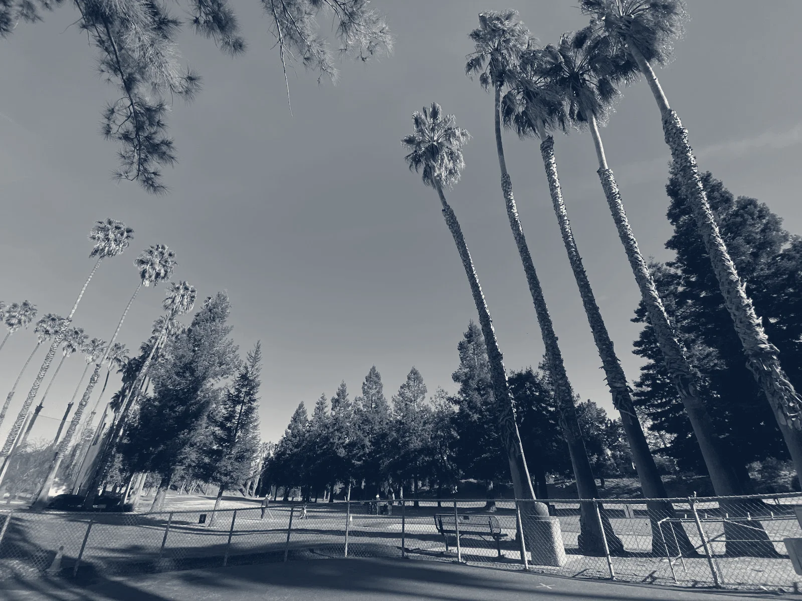 Sunken Gardens Golf Course — Sunnyvale, California