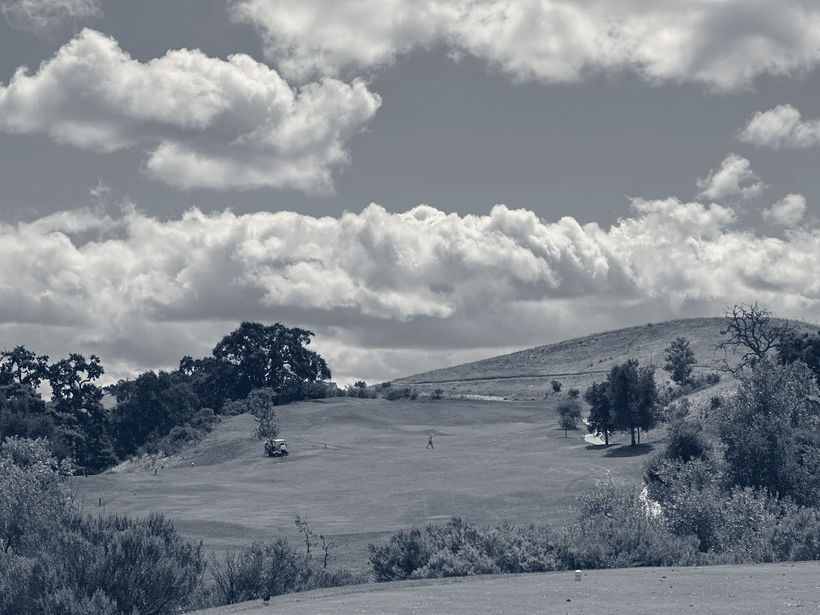 Callippe Preserve Golf Course — Pleasanton, California
