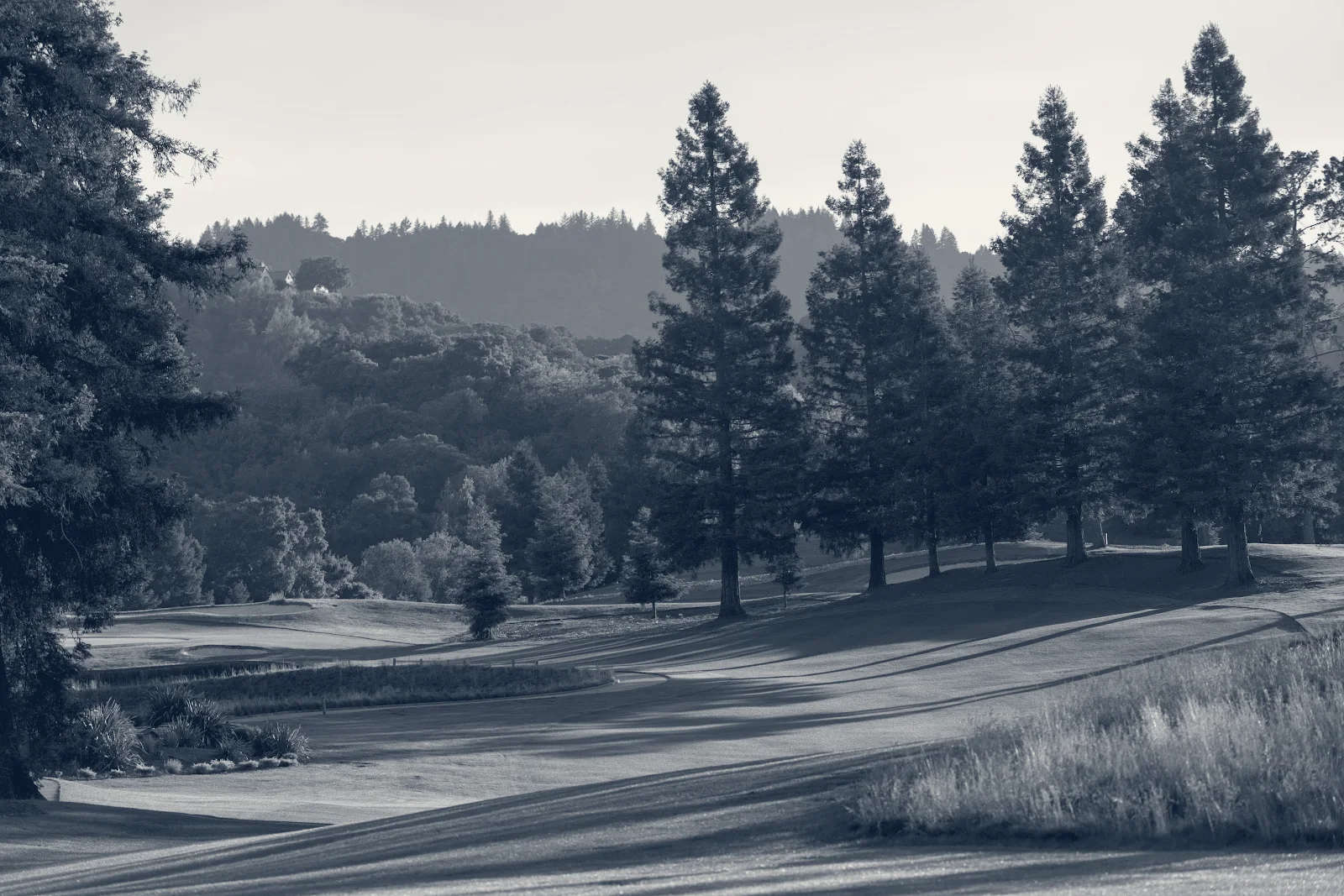 Palo Alto Hills Golf & Country Club — Palo Alto, California