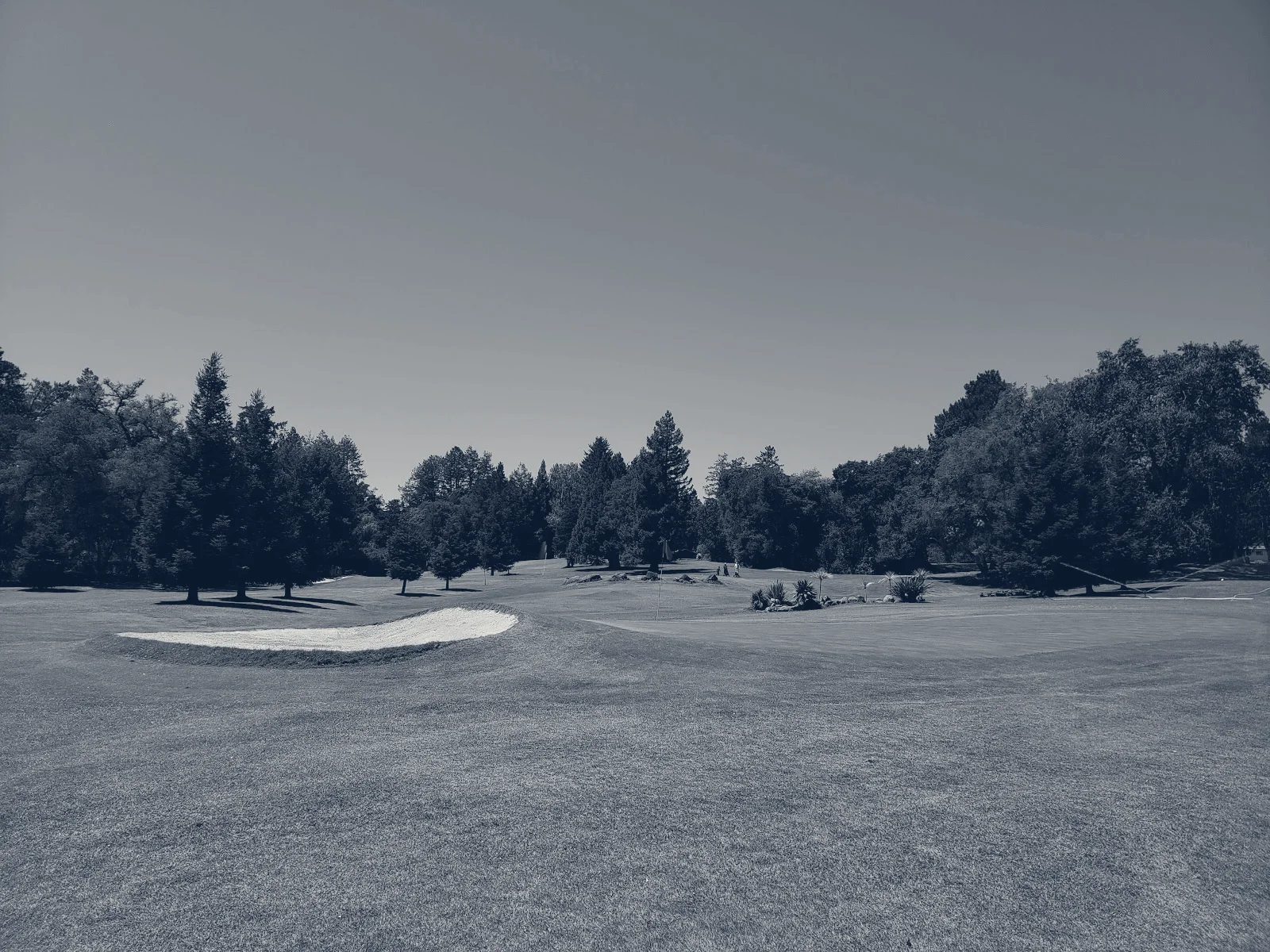 Sebastopol Golf Course — Sebastopol, California