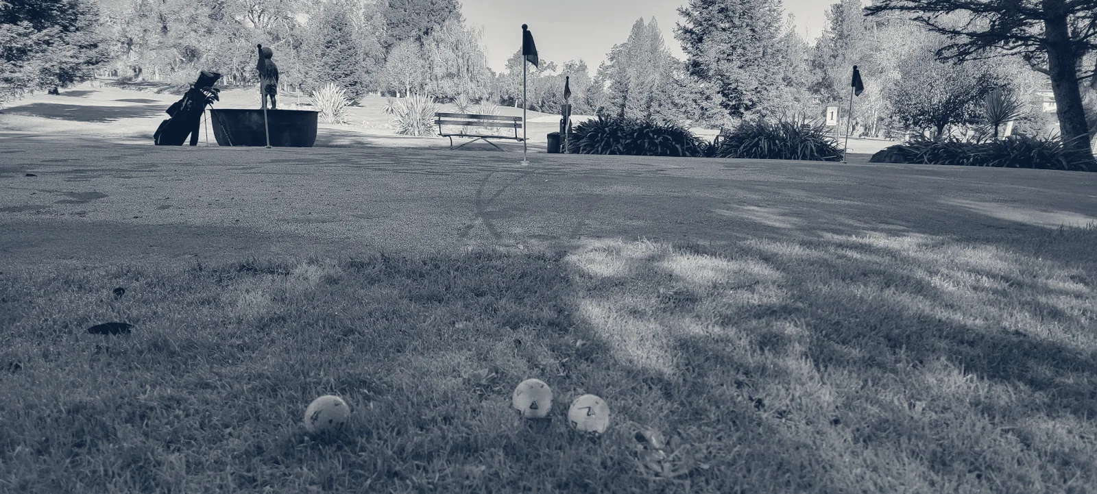 Sebastopol Golf Course — Sebastopol, California
