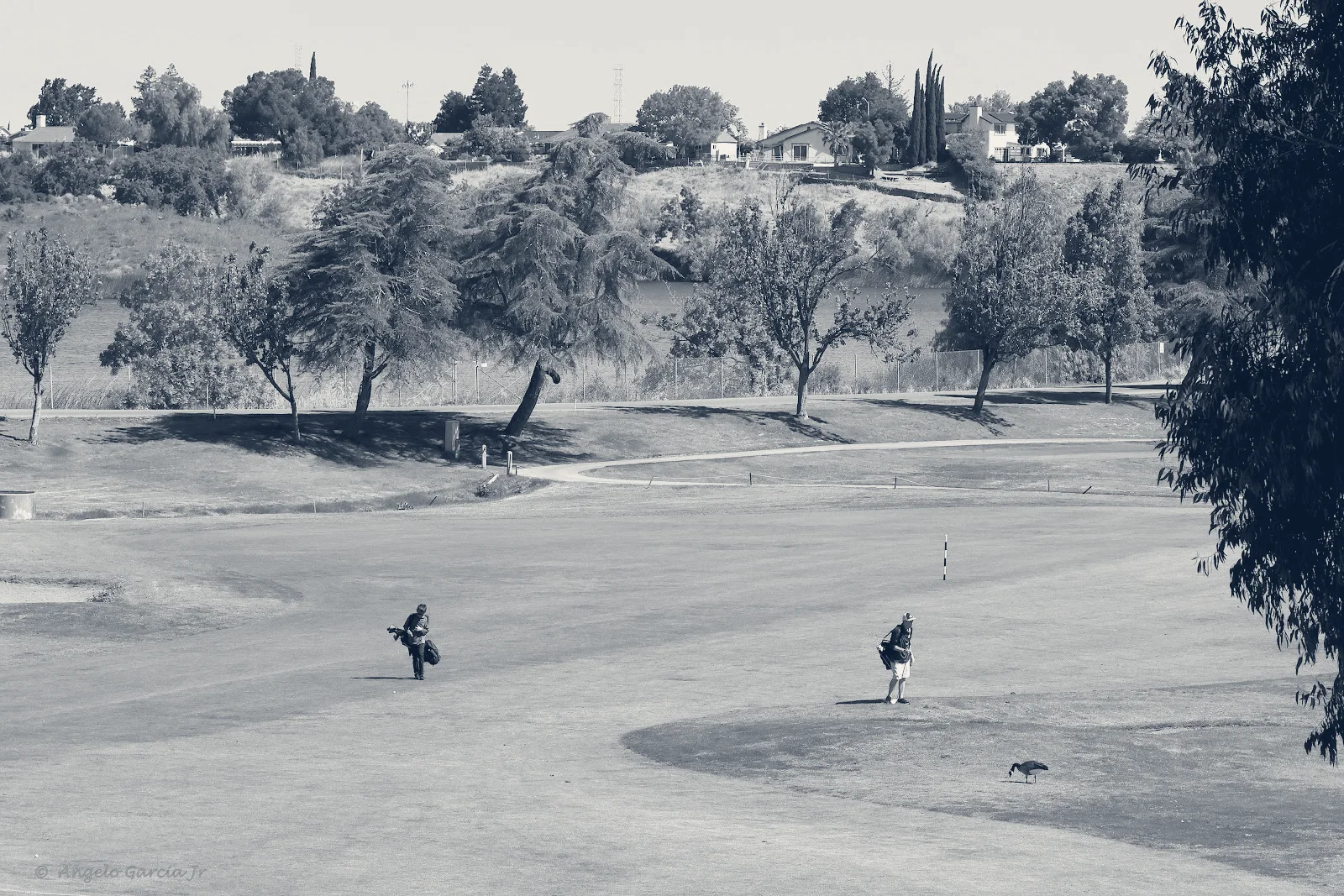 Lone Tree Golf & Event Center — Antioch, California