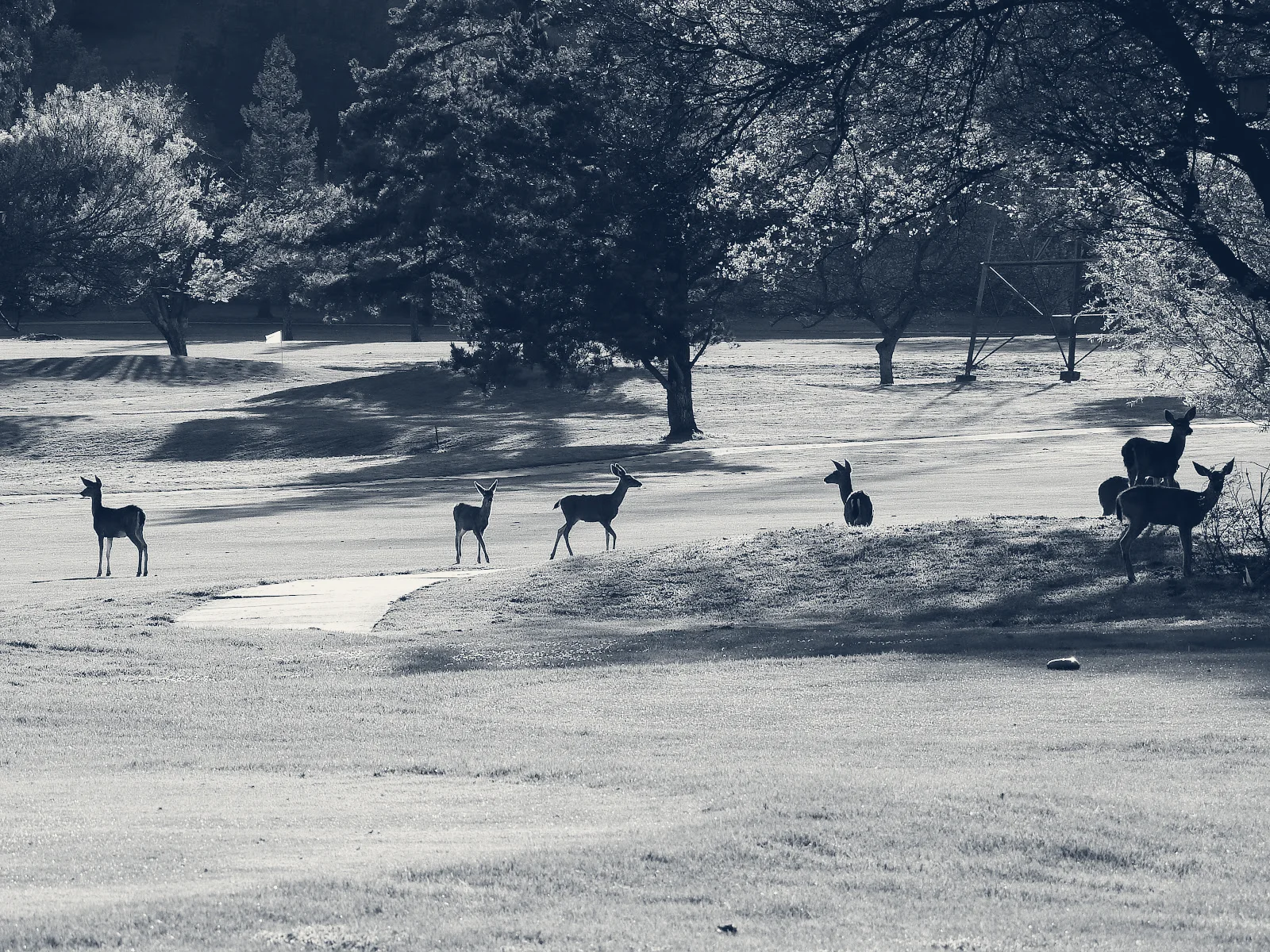 Santa Teresa Golf Club — San Jose, California